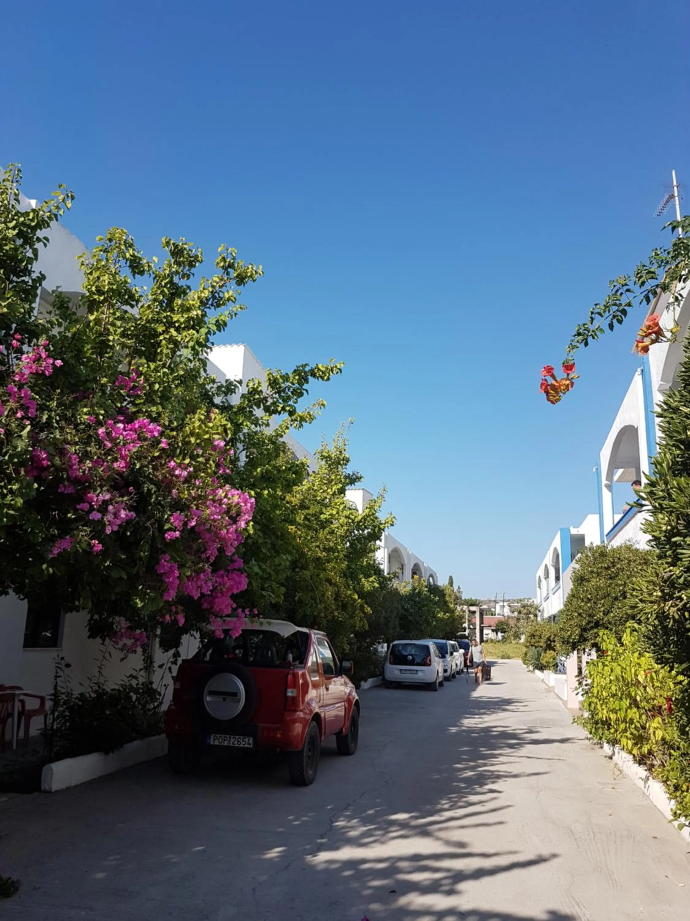 Thalassa Studios