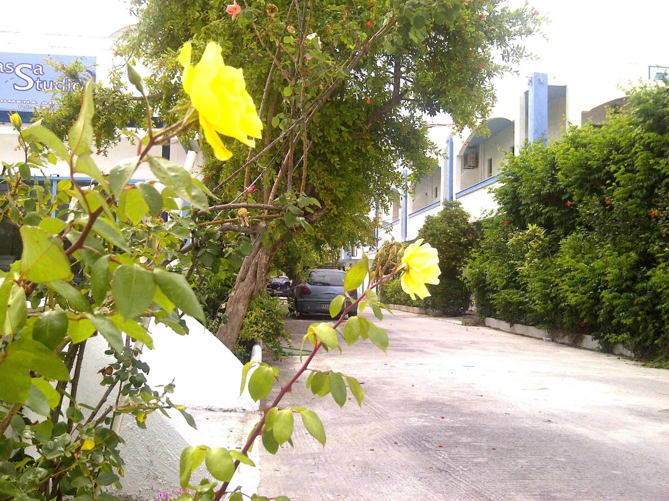 Property building in Thalassa Studios