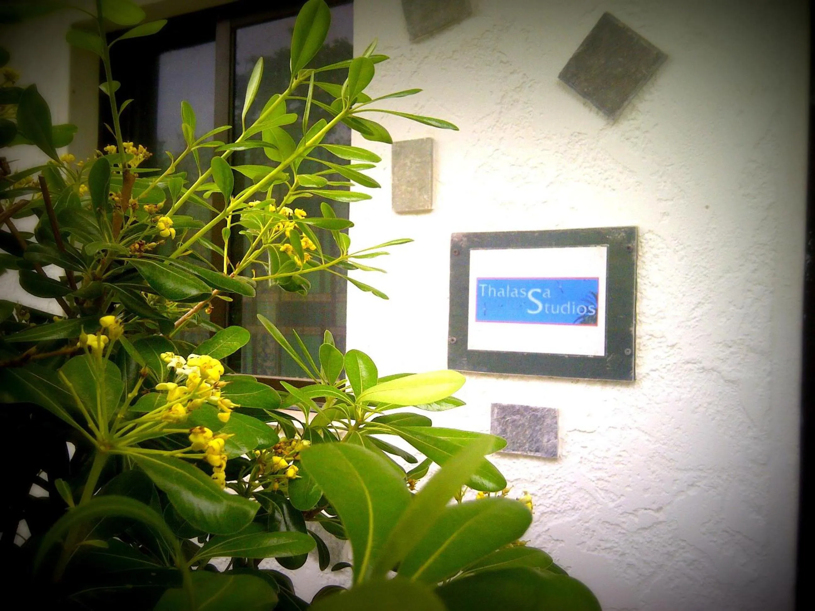 Decorative detail in Thalassa Studios