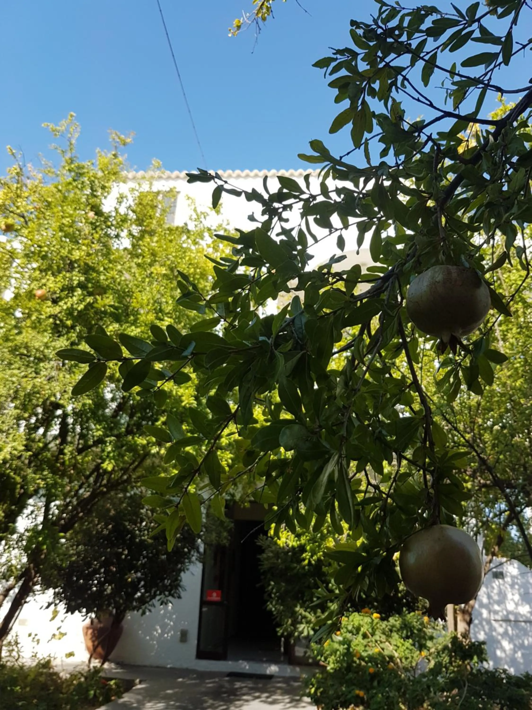 Thalassa Studios