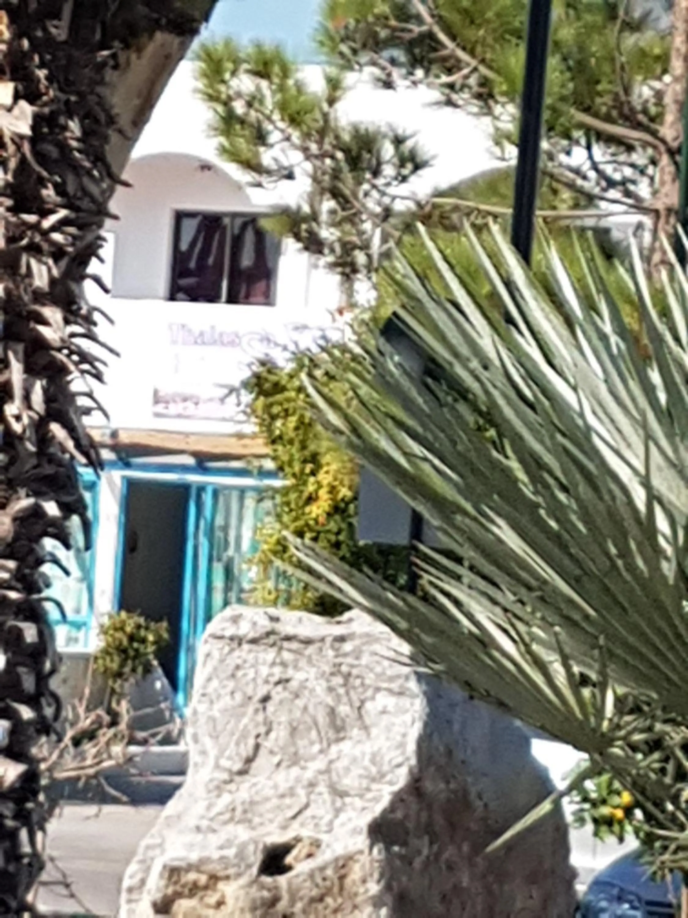 Thalassa Studios