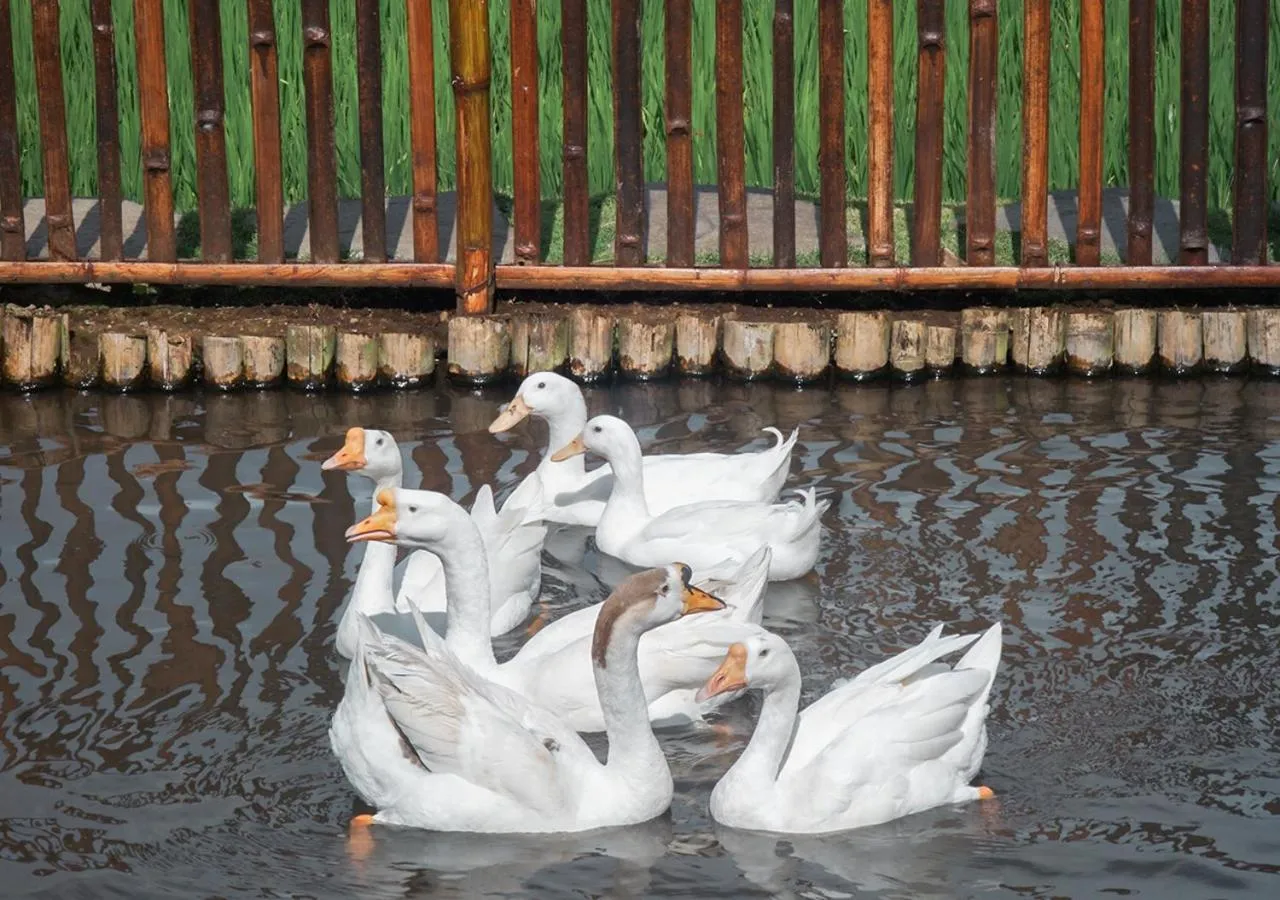 Activities in Shanaya Resort Malang