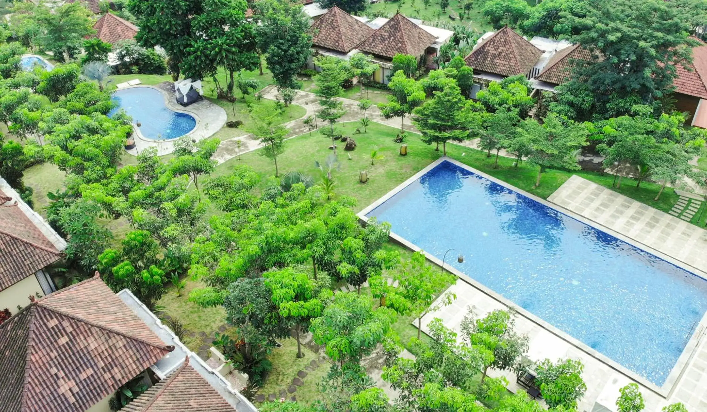 Deluxe Double or Twin Room with Pool Access in Shanaya Resort Malang Deluxe Double or Twin Room with Pool Access in Shanaya Resort Malang