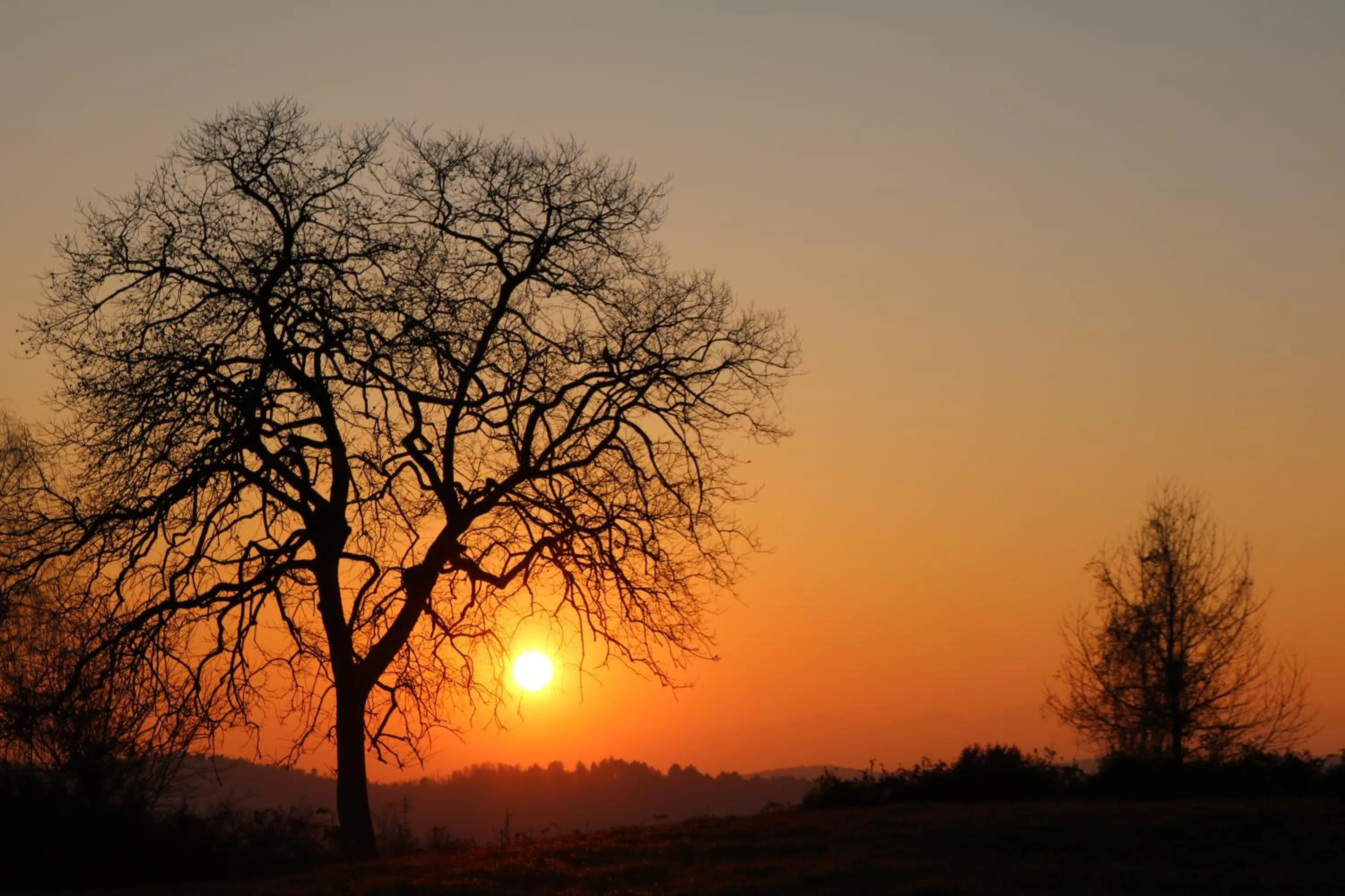 Other in B&B Al Castello