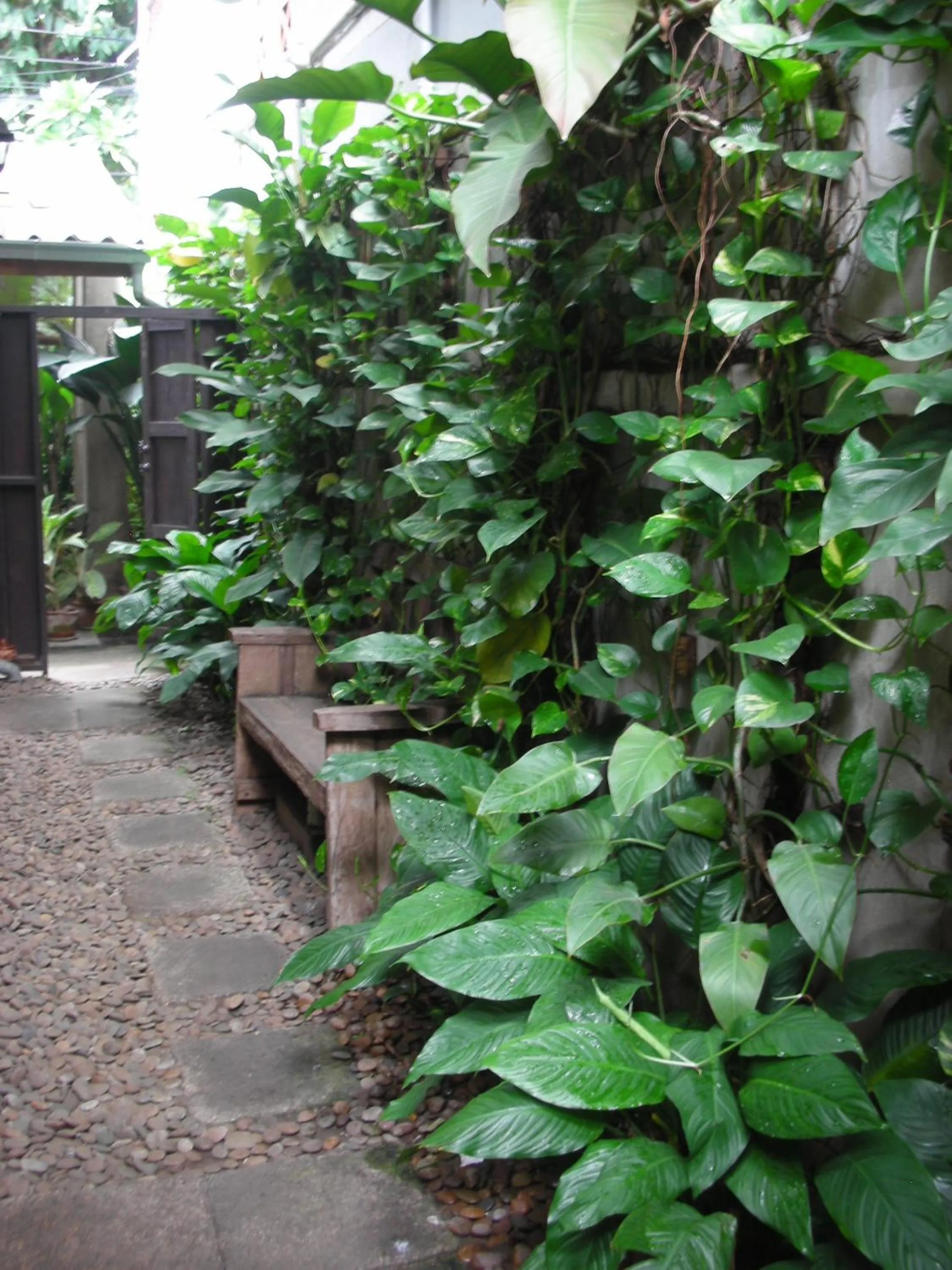 Garden in Chiang Maan Residence