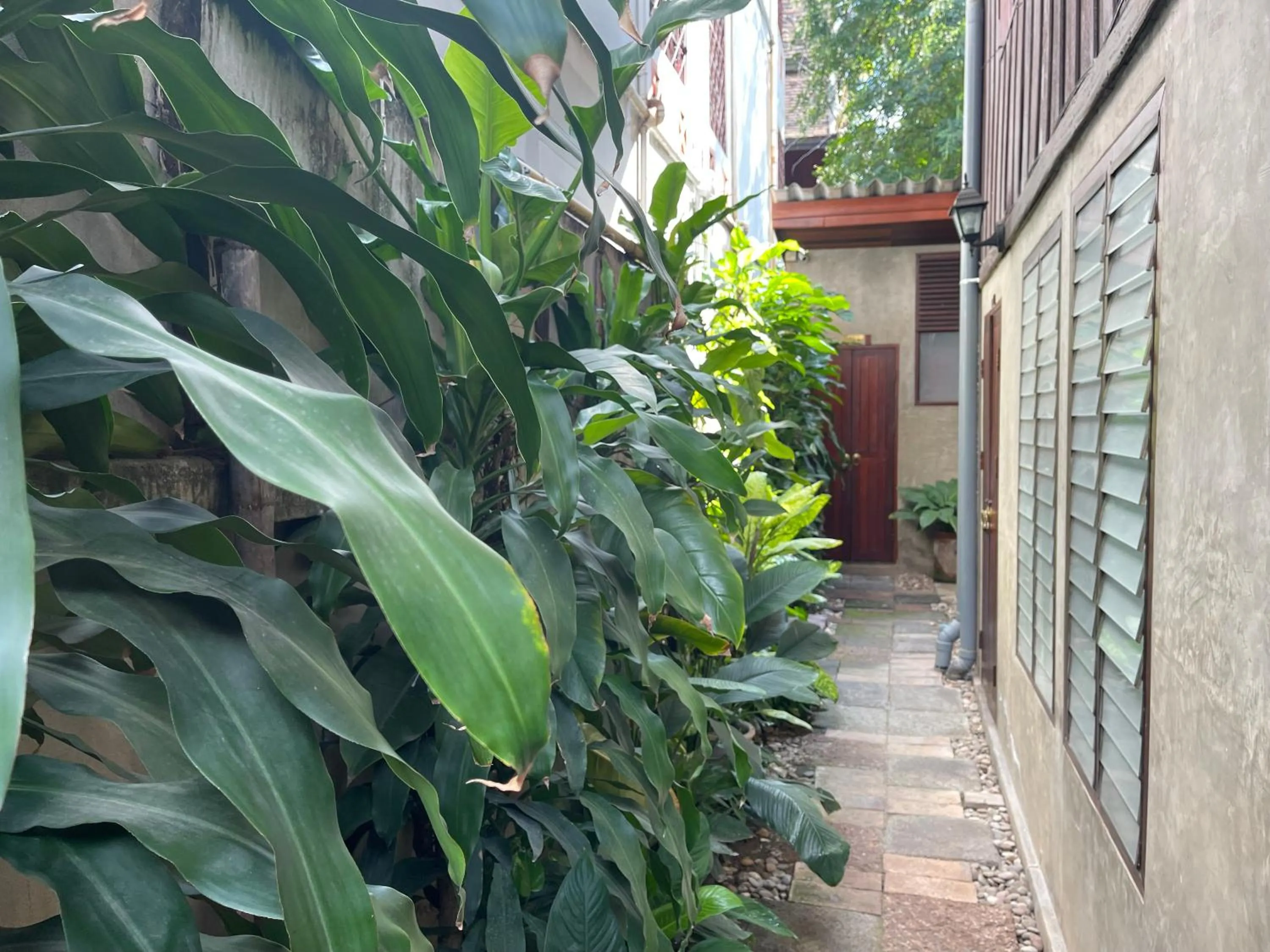 Chiang Maan Residence