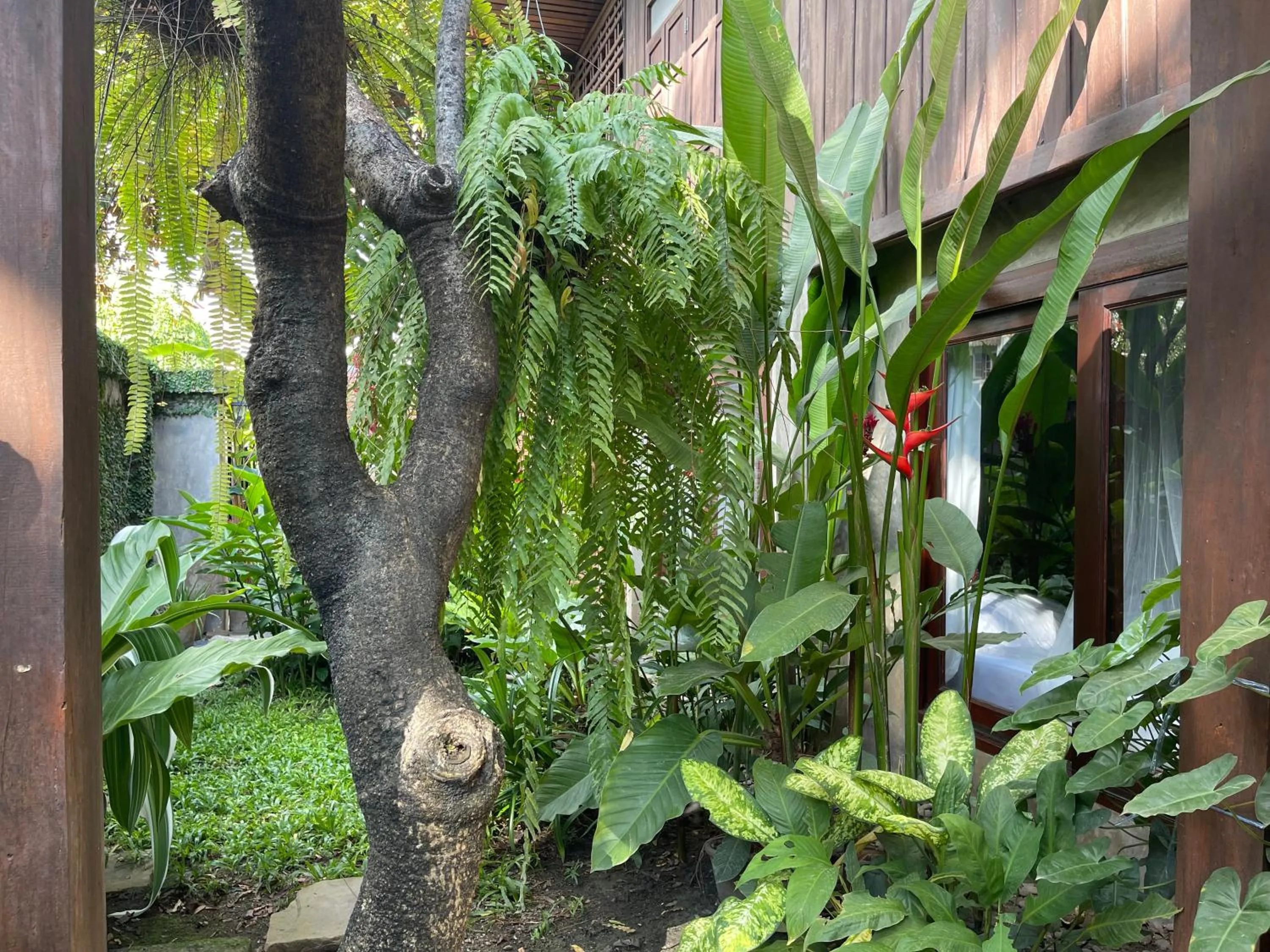 Chiang Maan Residence