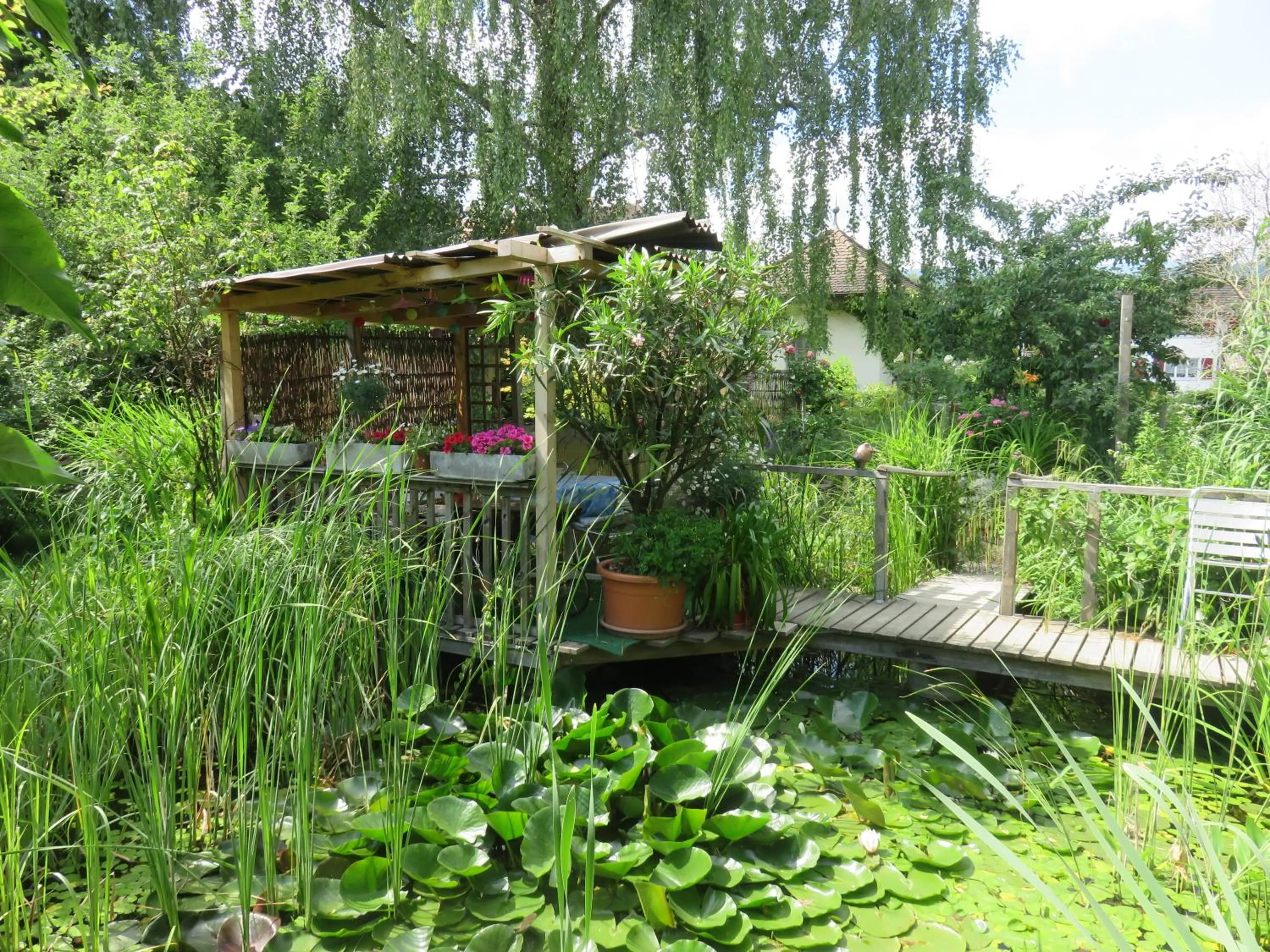 Garden in BnB Erlach