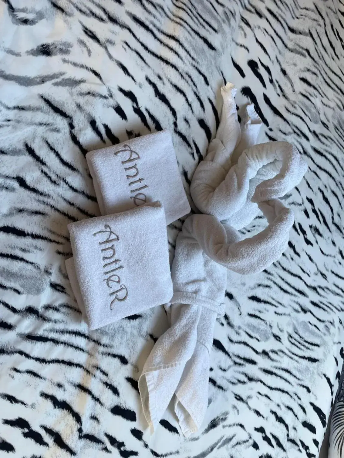 Standard Suite - single occupancy in Hotel Antler Standard Suite - single occupancy in Hotel Antler