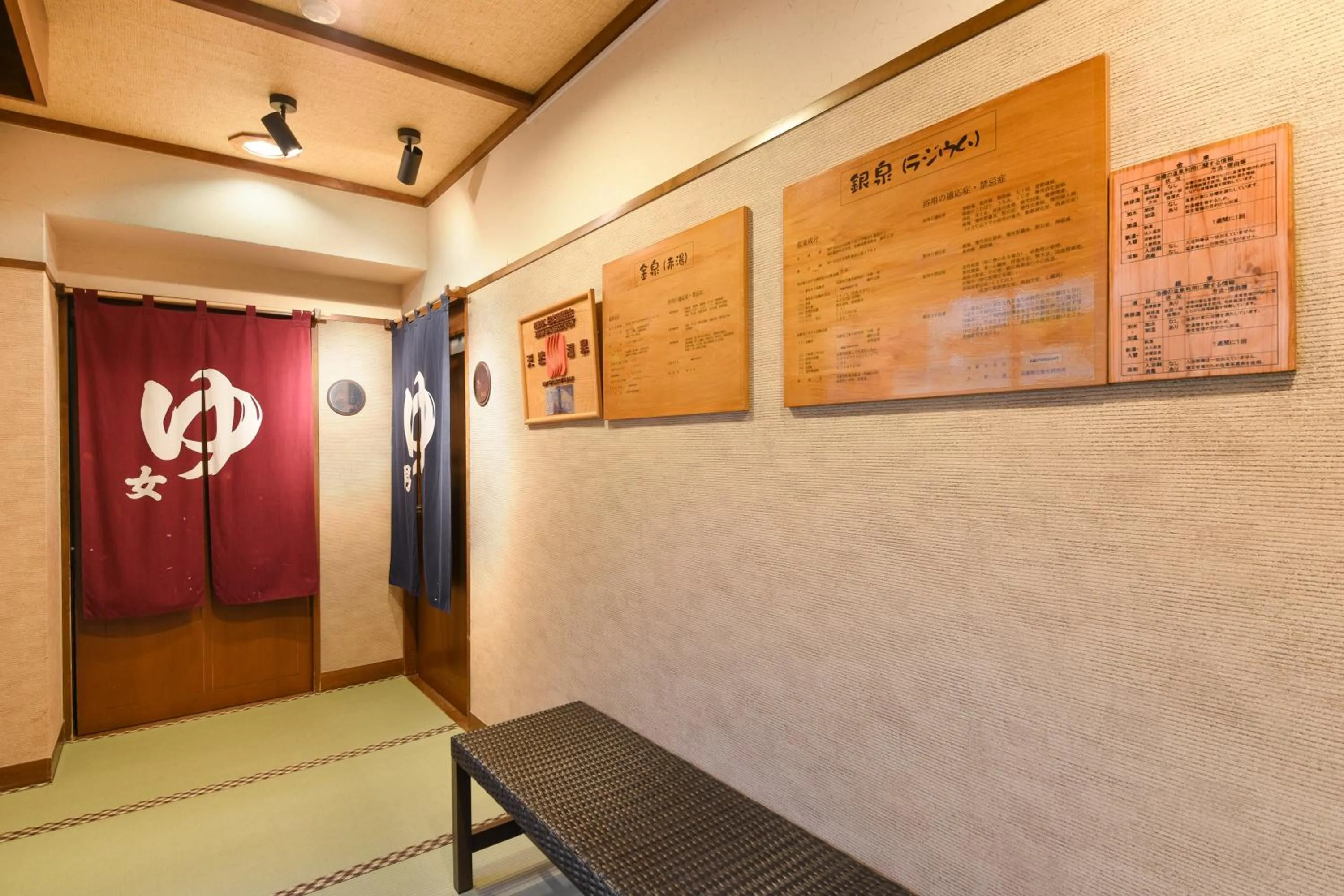 Hot Spring Bath in Arima Onsen Koki