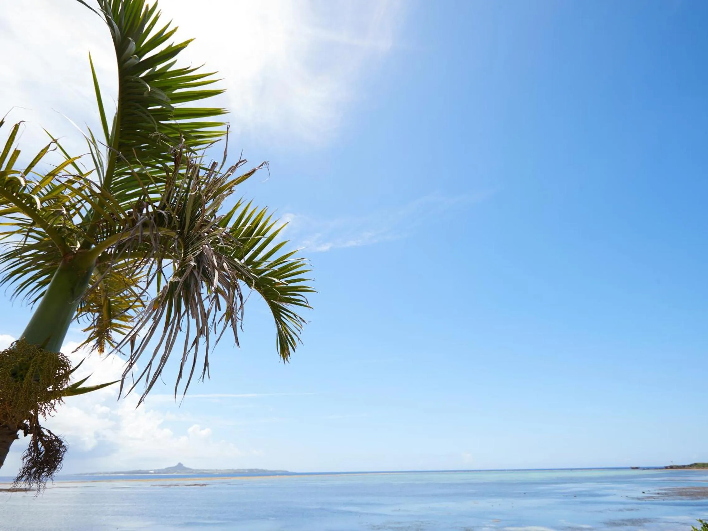 ADAN RESORT 風 - Fu -