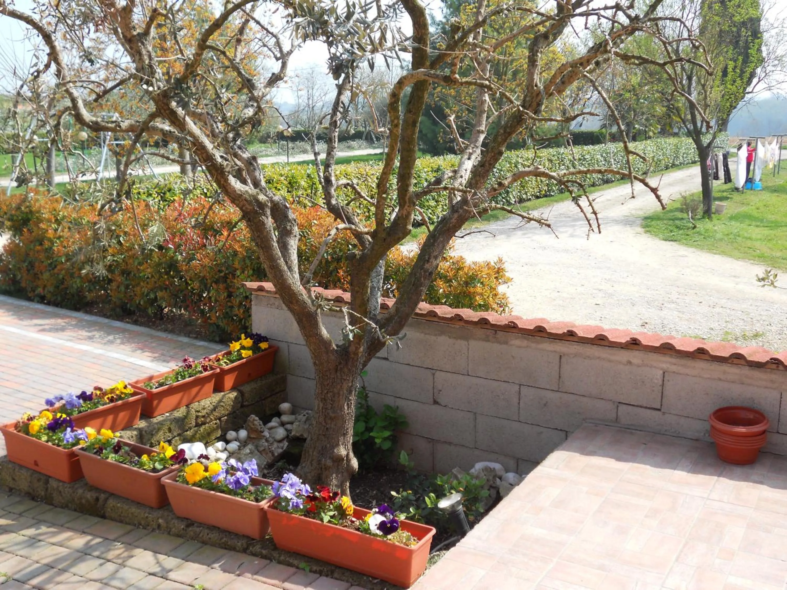 Spring in Agriturismo Ai Tre Fienili