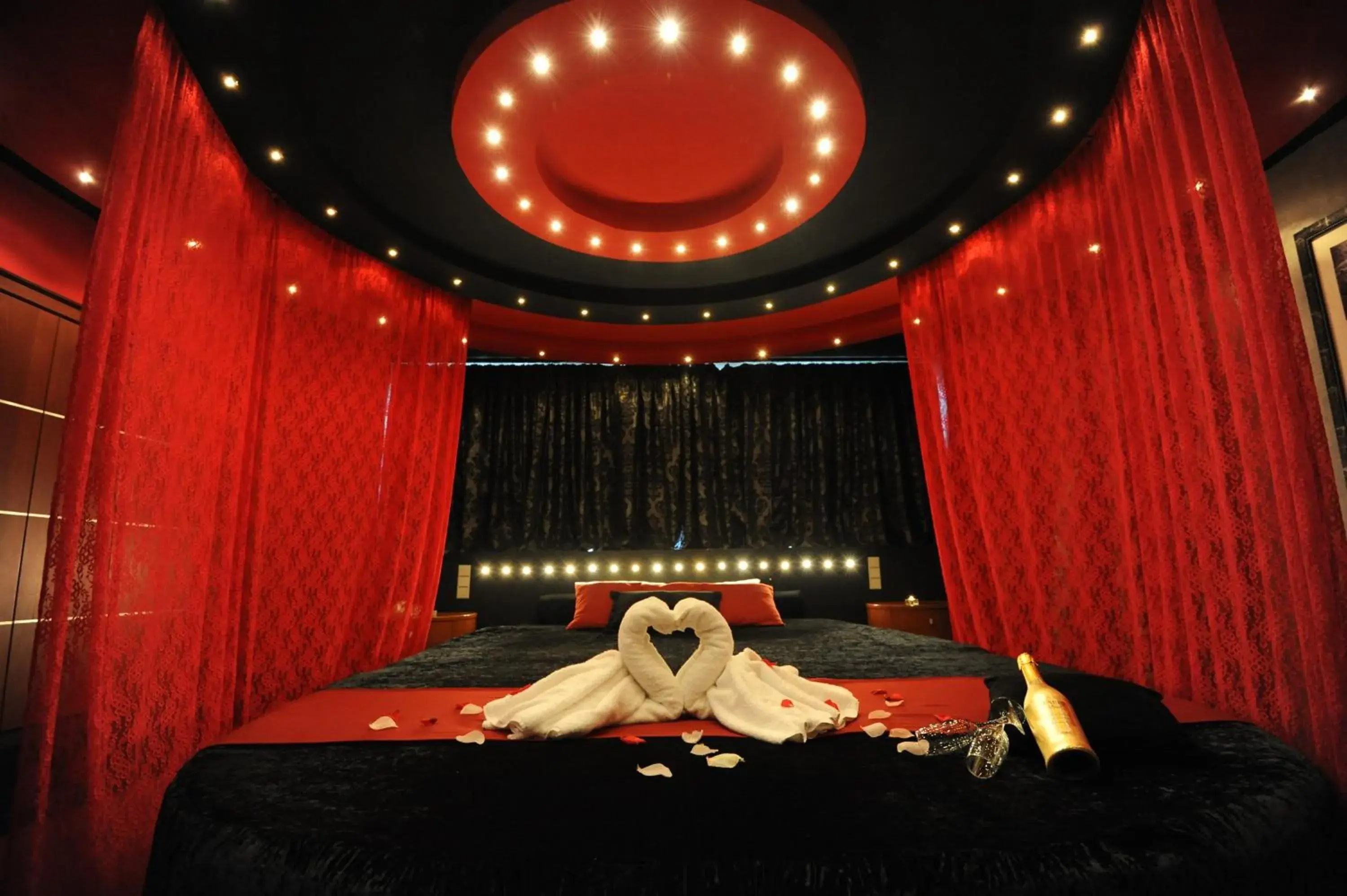 Suite in Carol Hotel Suite in Carol Hotel