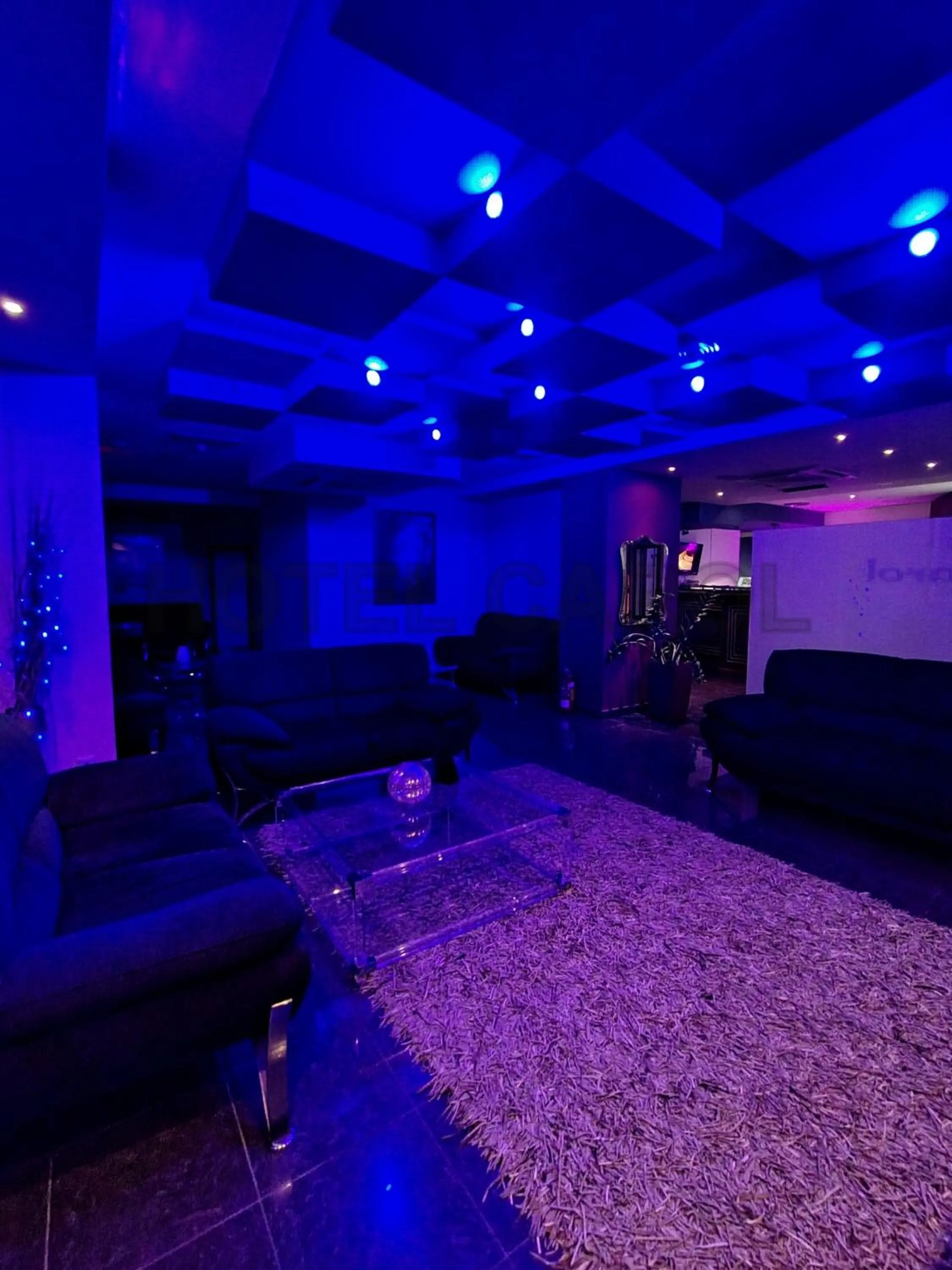 Living room in Carol Hotel