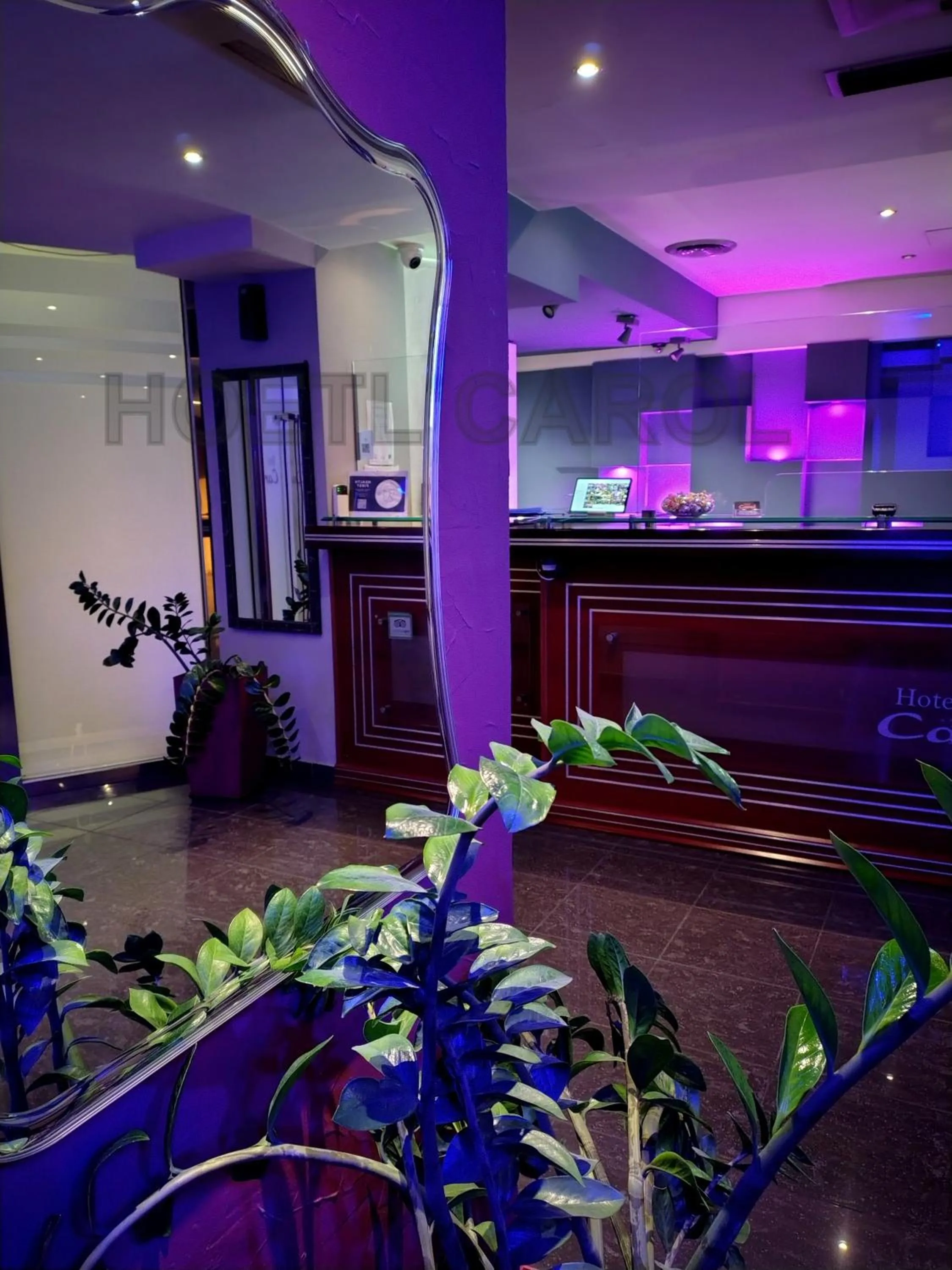 Lobby or reception in Carol Hotel