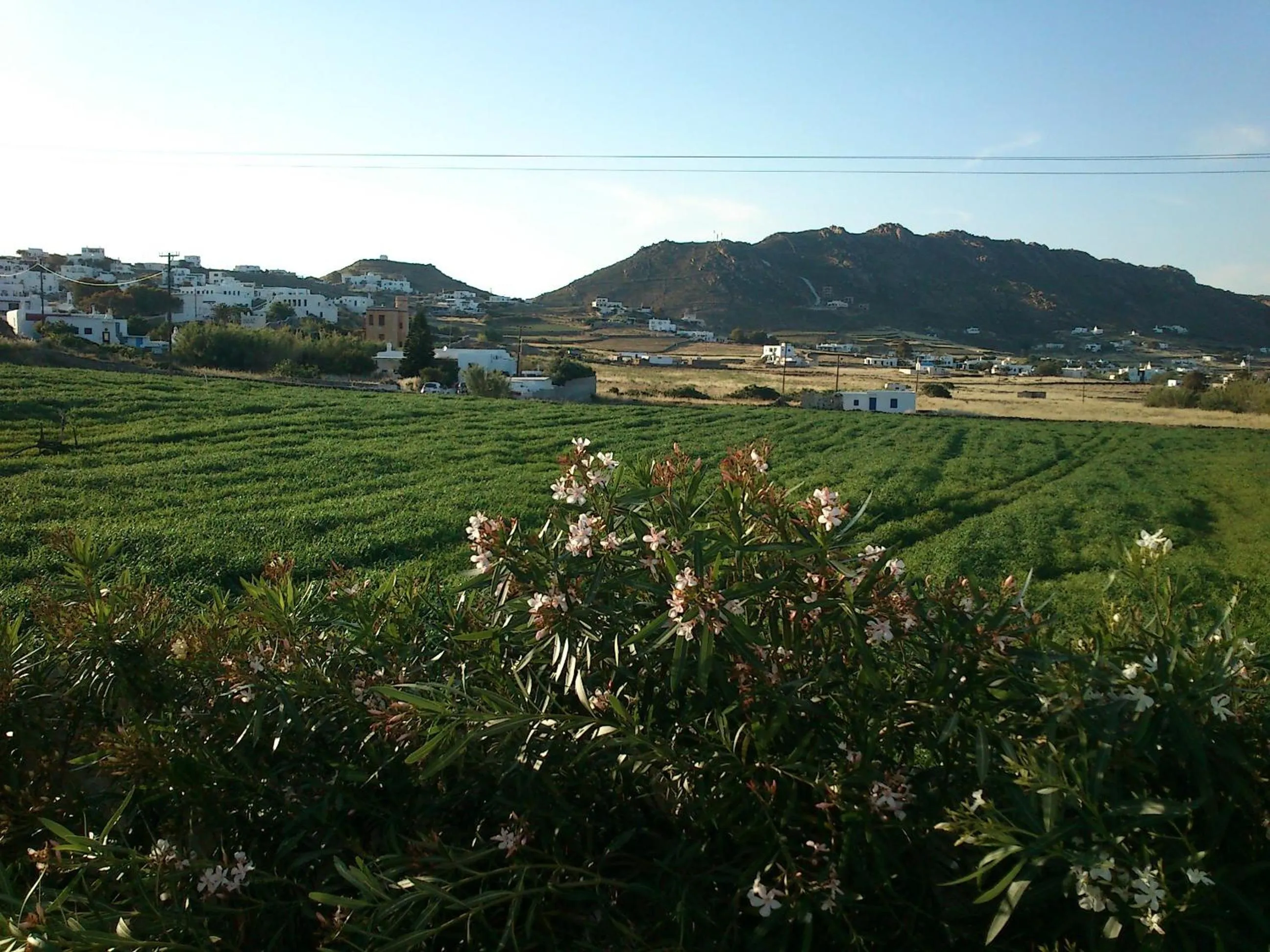 Area and facilities in Hotel Anatolia