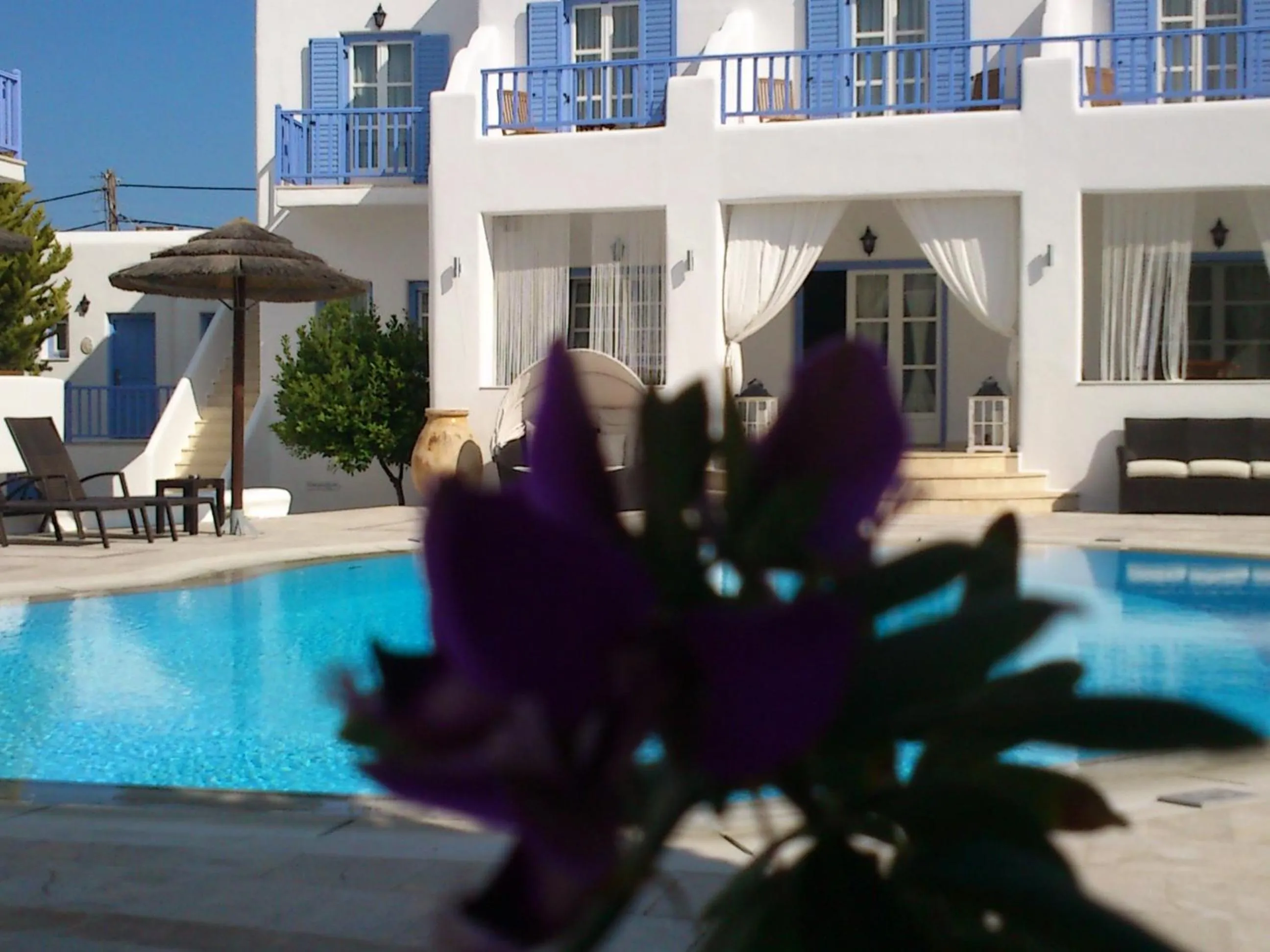 Facade/entrance in Hotel Anatolia