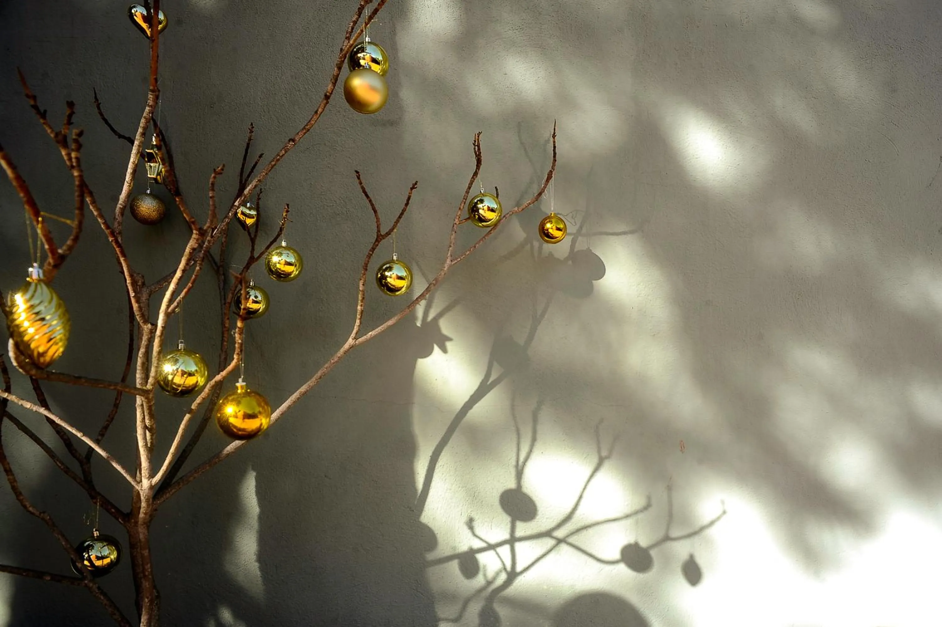 Garden in Hotel Boutique Pinar by Bossh! Hotels