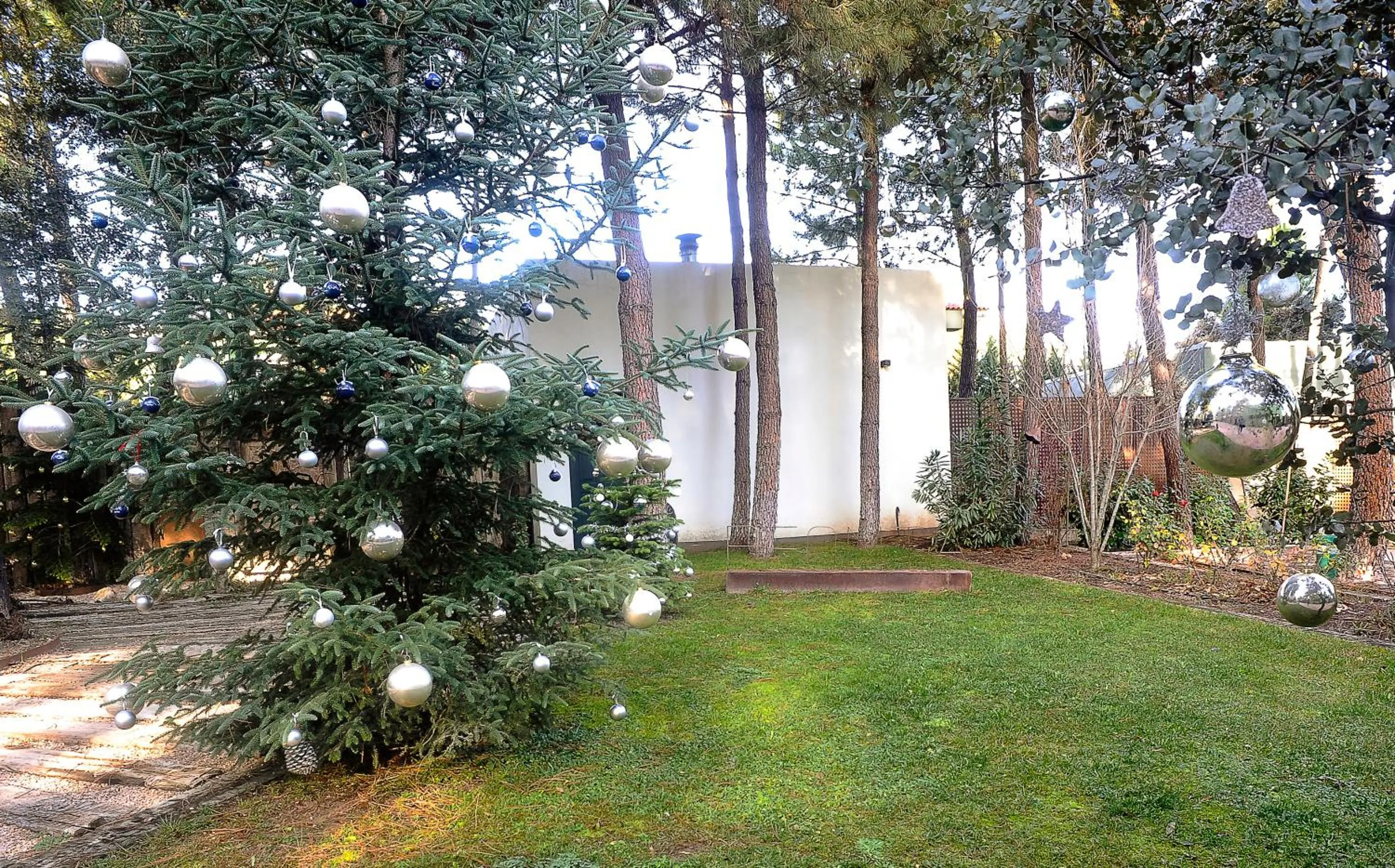 Natural landscape in Hotel Boutique Pinar by Bossh! Hotels