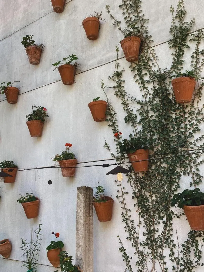 Day in Hotel Boutique Pinar by Bossh! Hotels