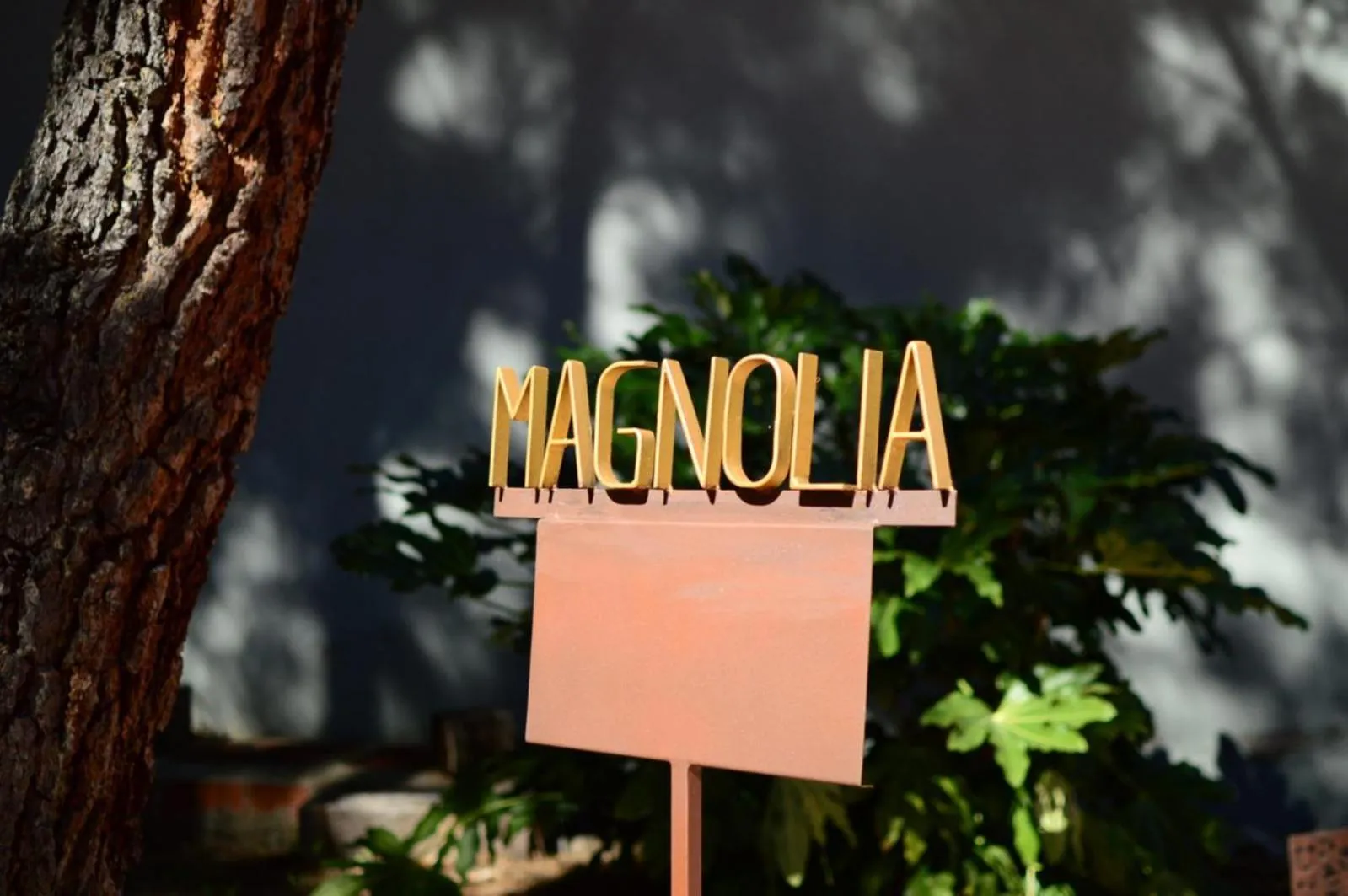 Property logo or sign in Hotel Boutique Pinar by Bossh! Hotels