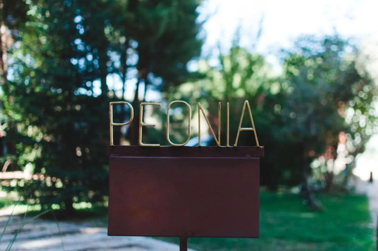 Double Room with Spa Bath in Hotel Boutique Pinar by Bossh! Hotels Double Room with Spa Bath in Hotel Boutique Pinar by Bossh! Hotels