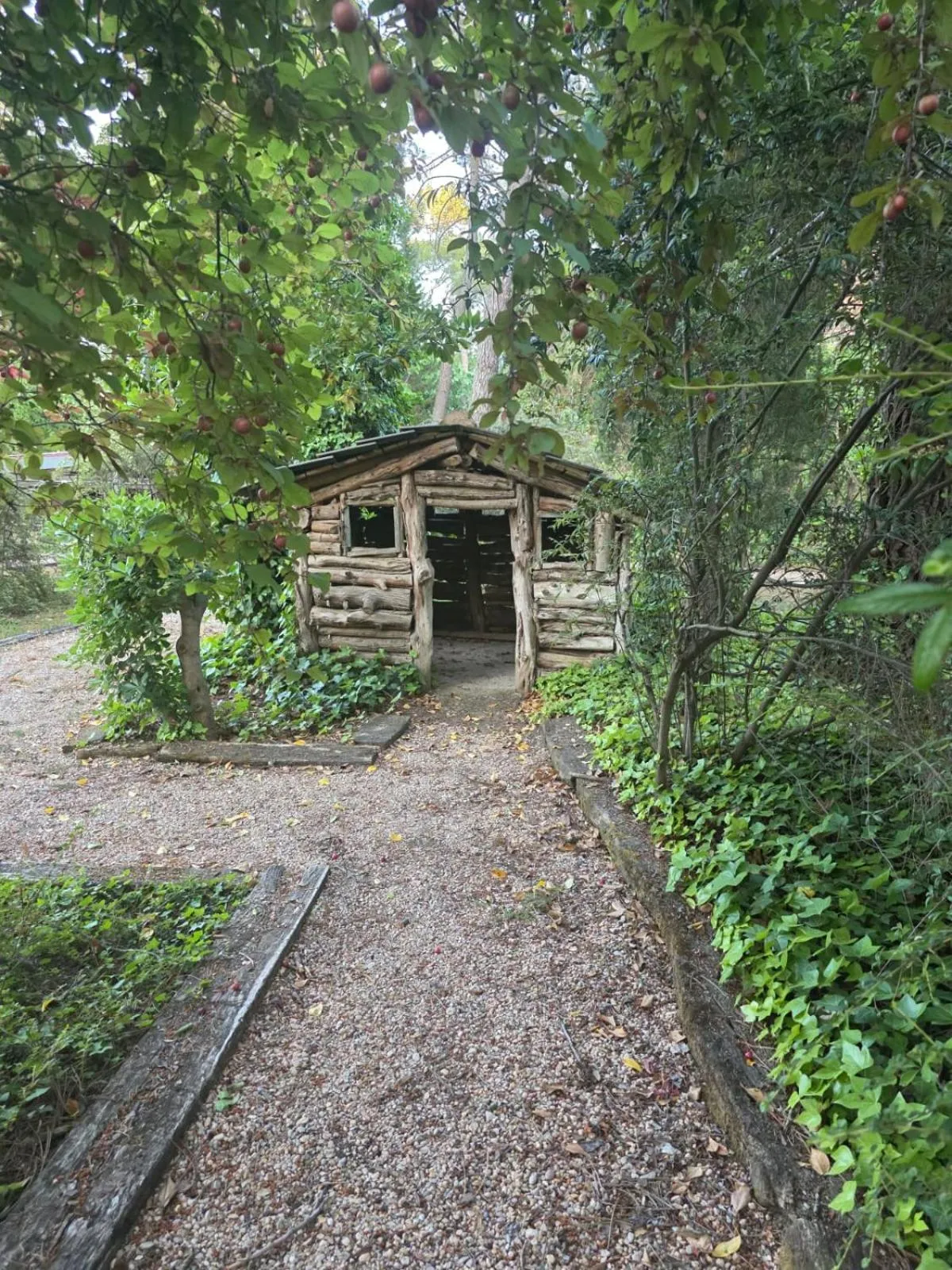 Natural landscape in Hotel Boutique Pinar by Bossh! Hotels