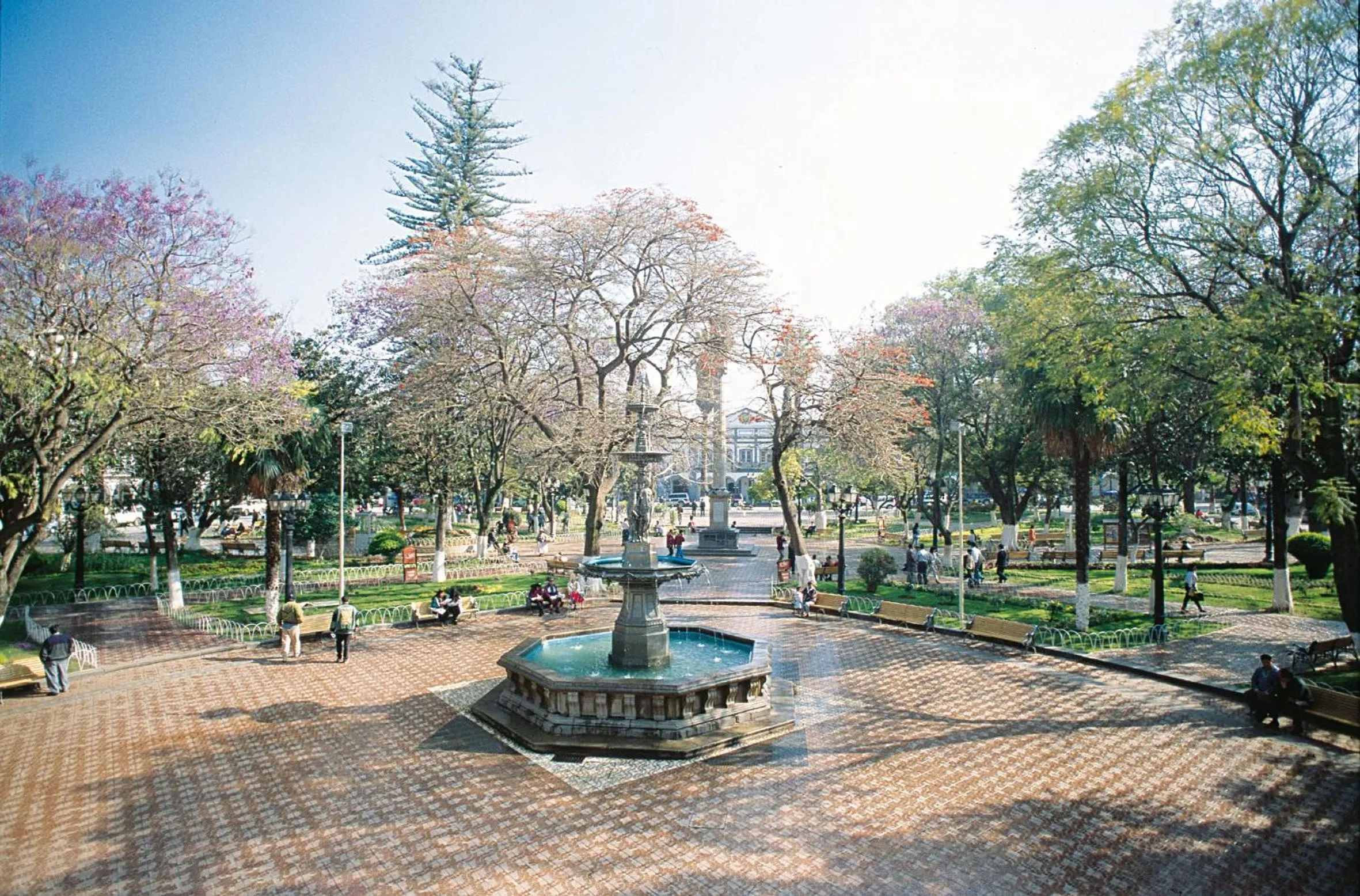 Neighbourhood in Hotel Diplomat