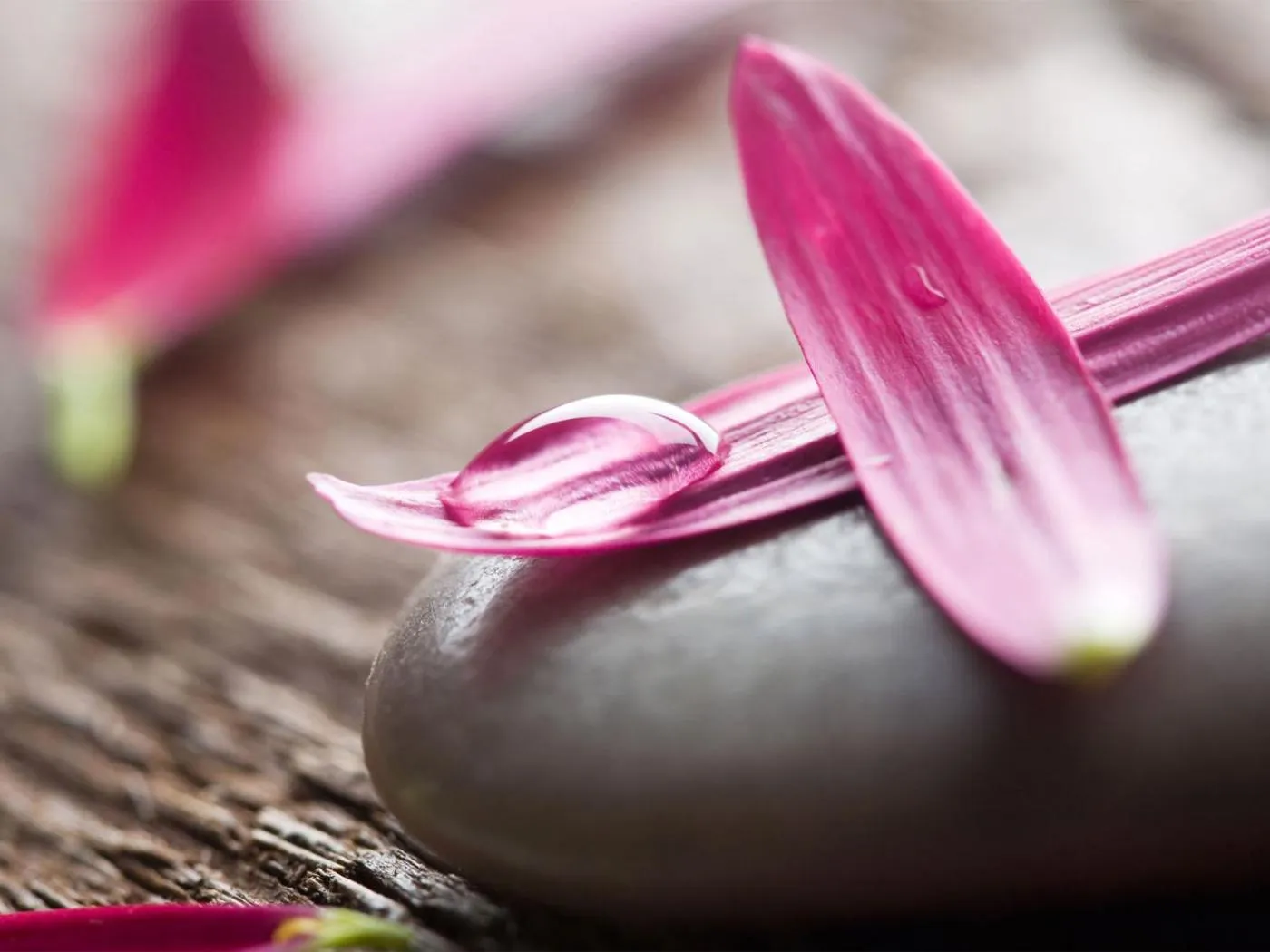 Massage in Riad Bellamane Marrakech