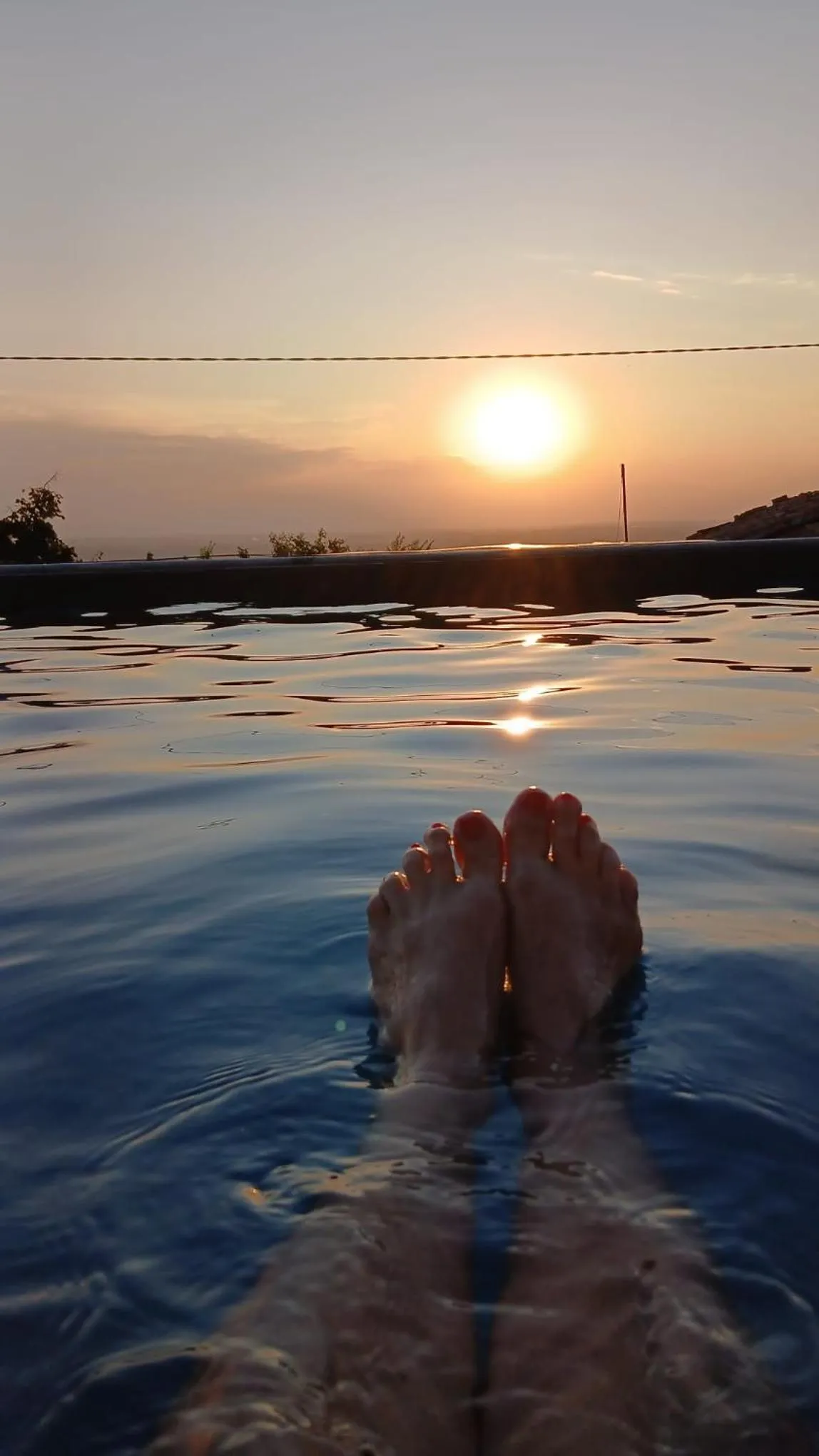 Tra... Monti E Vigne