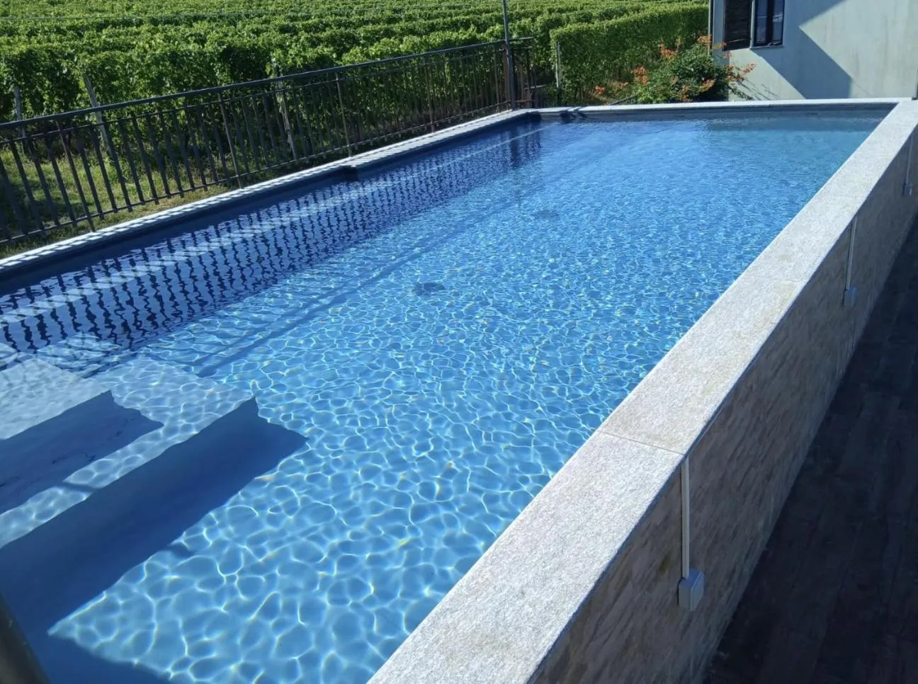 Swimming pool in Tra... Monti E Vigne