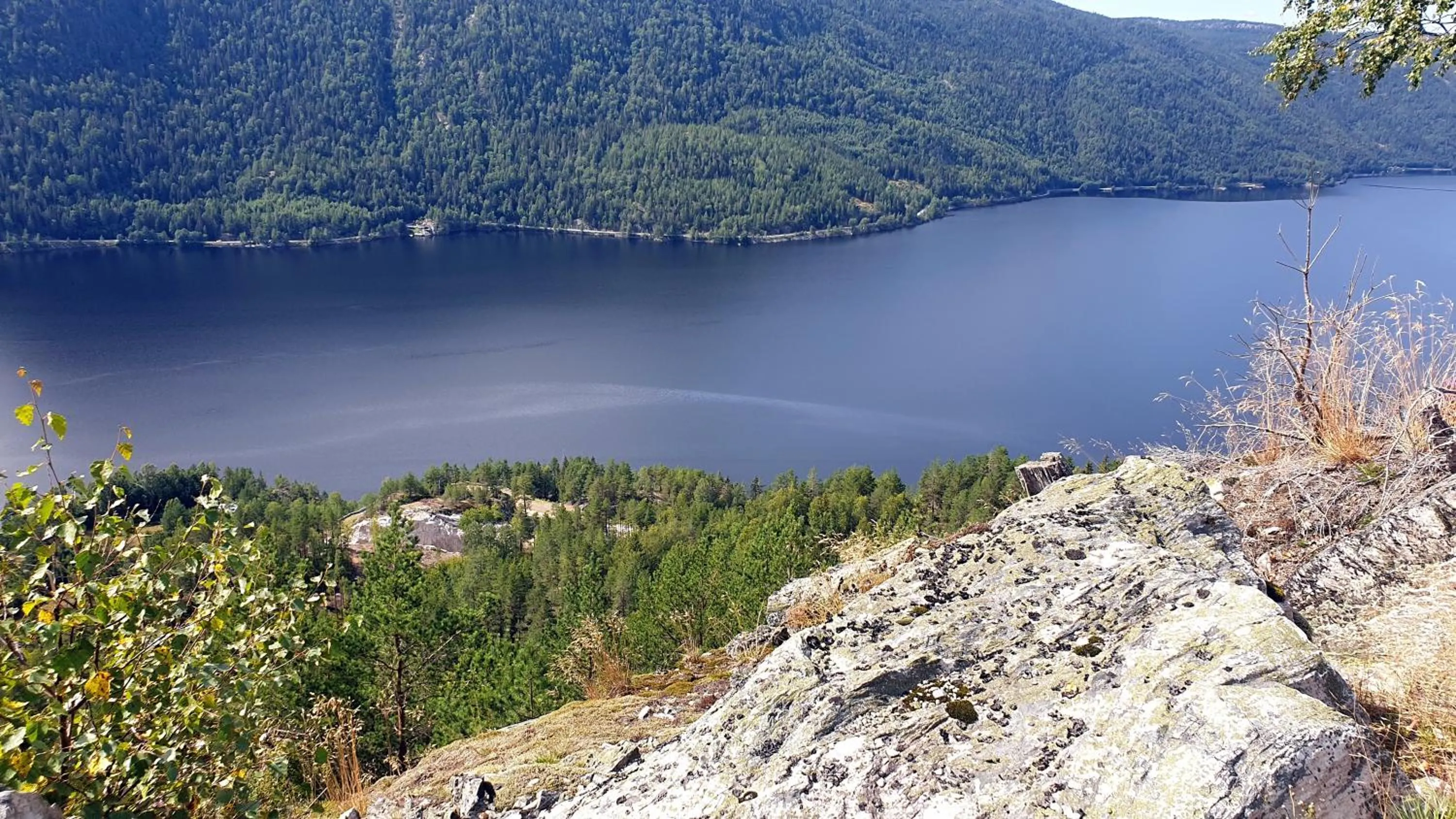 Natural landscape in Hovstø