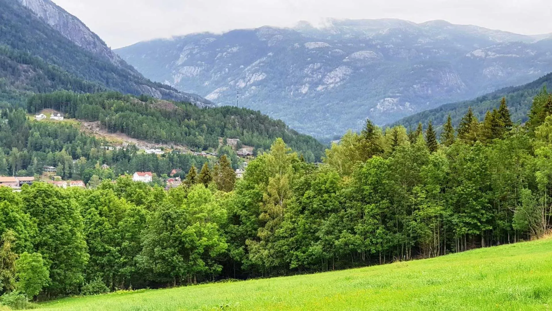 Natural landscape in Hovstø