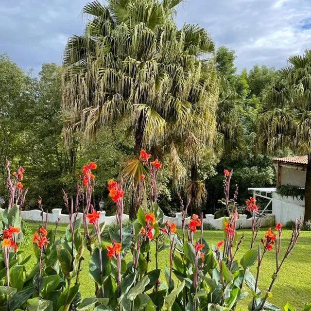 Casa Caballero Hotel Boutique