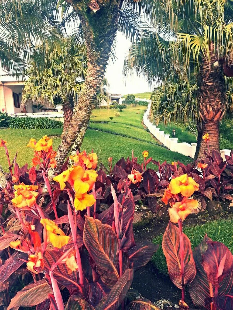 Garden in Casa Caballero Hotel Boutique