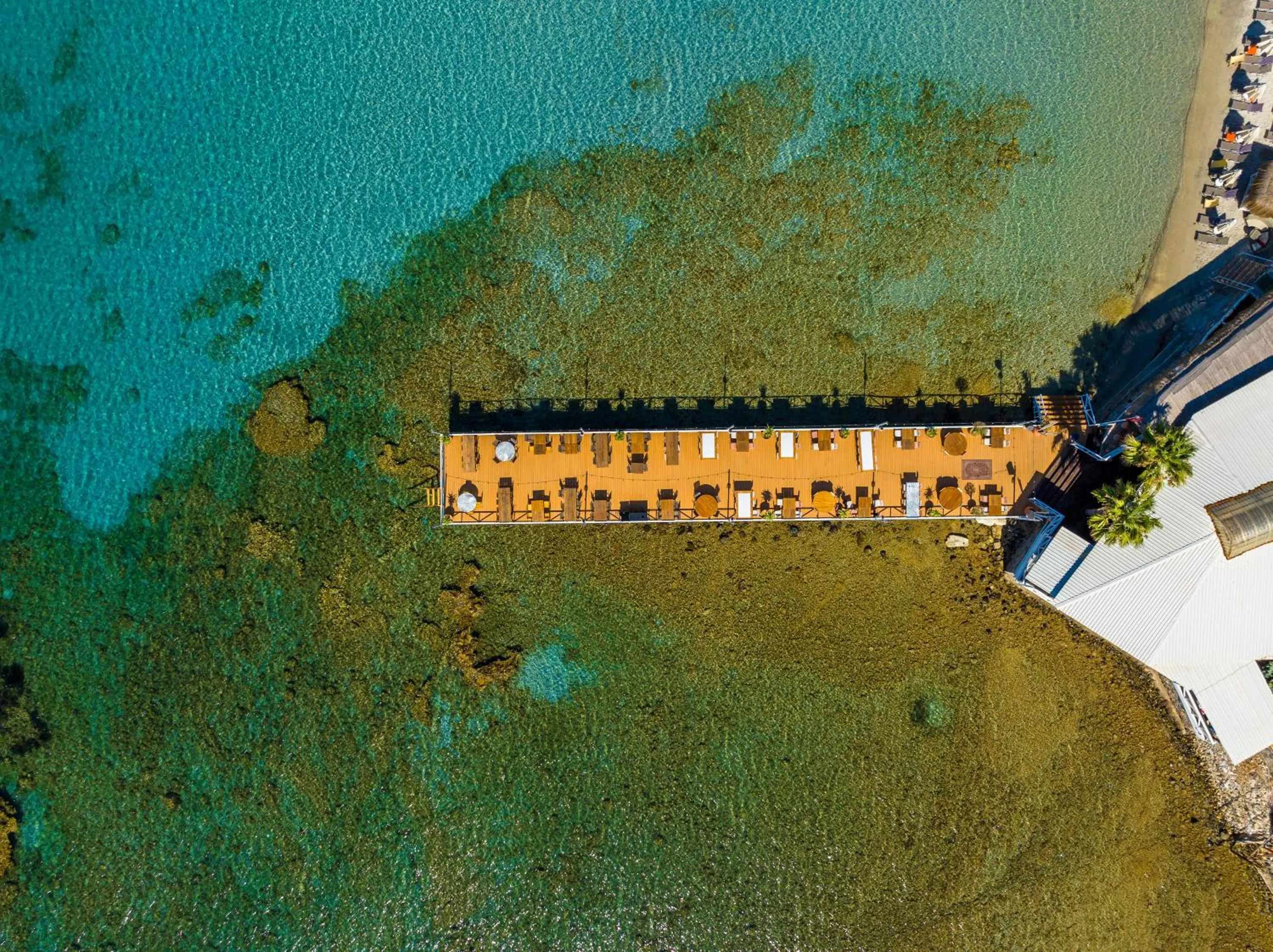 Natural landscape in Design Plus Seya Beach Hotel