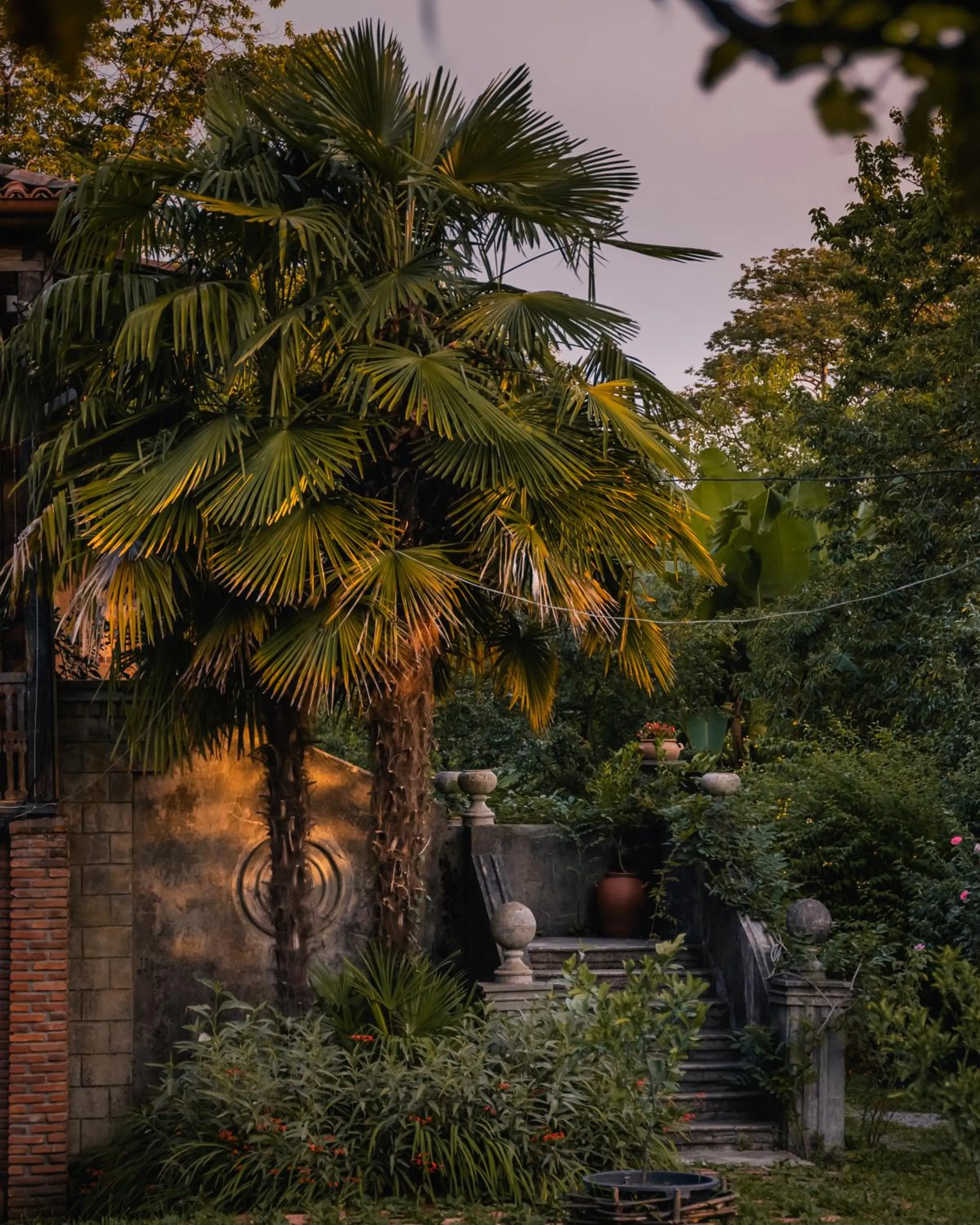 Garden in Menabde Winery