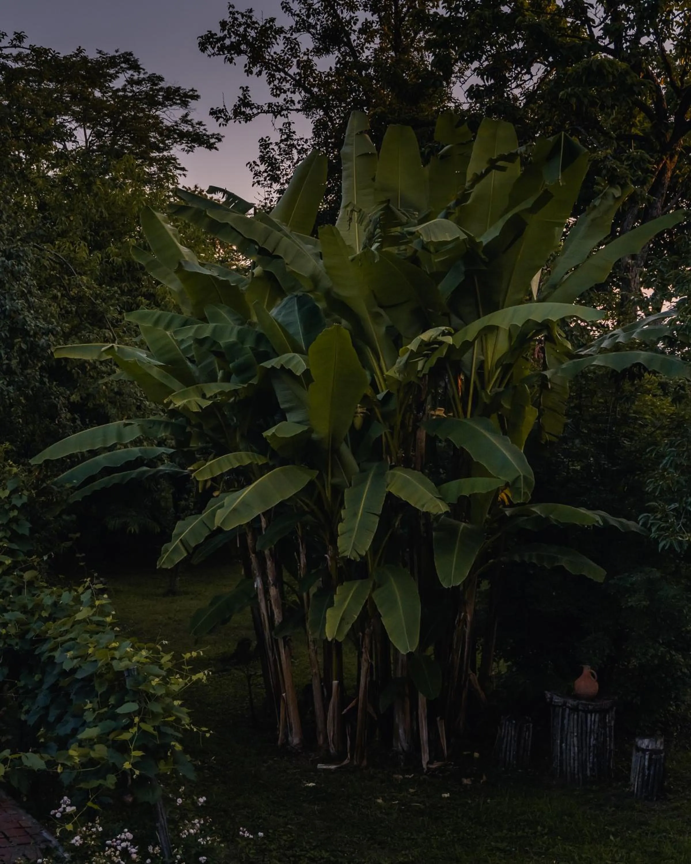Natural landscape in Menabde Winery