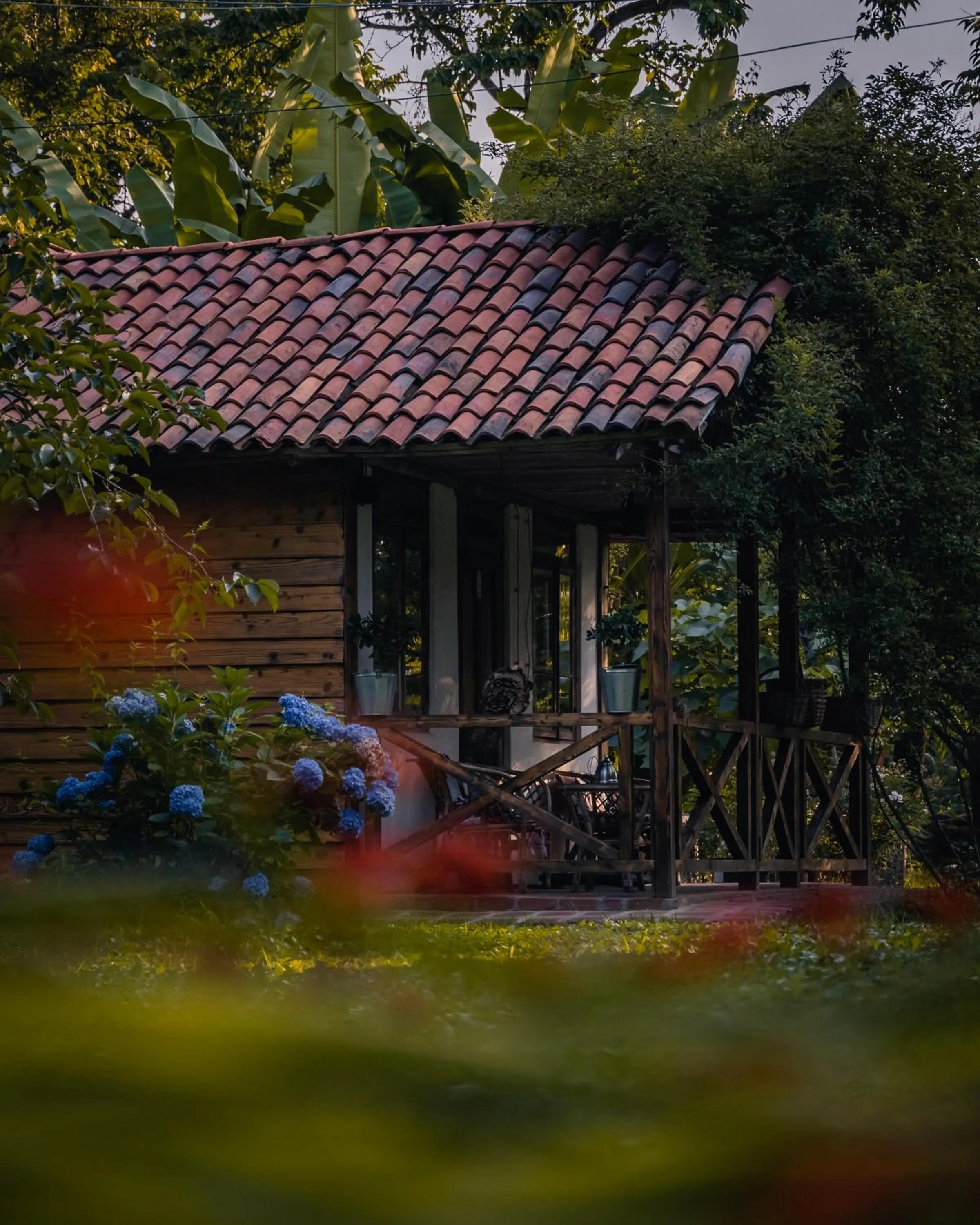 Lobby or reception in Menabde Winery