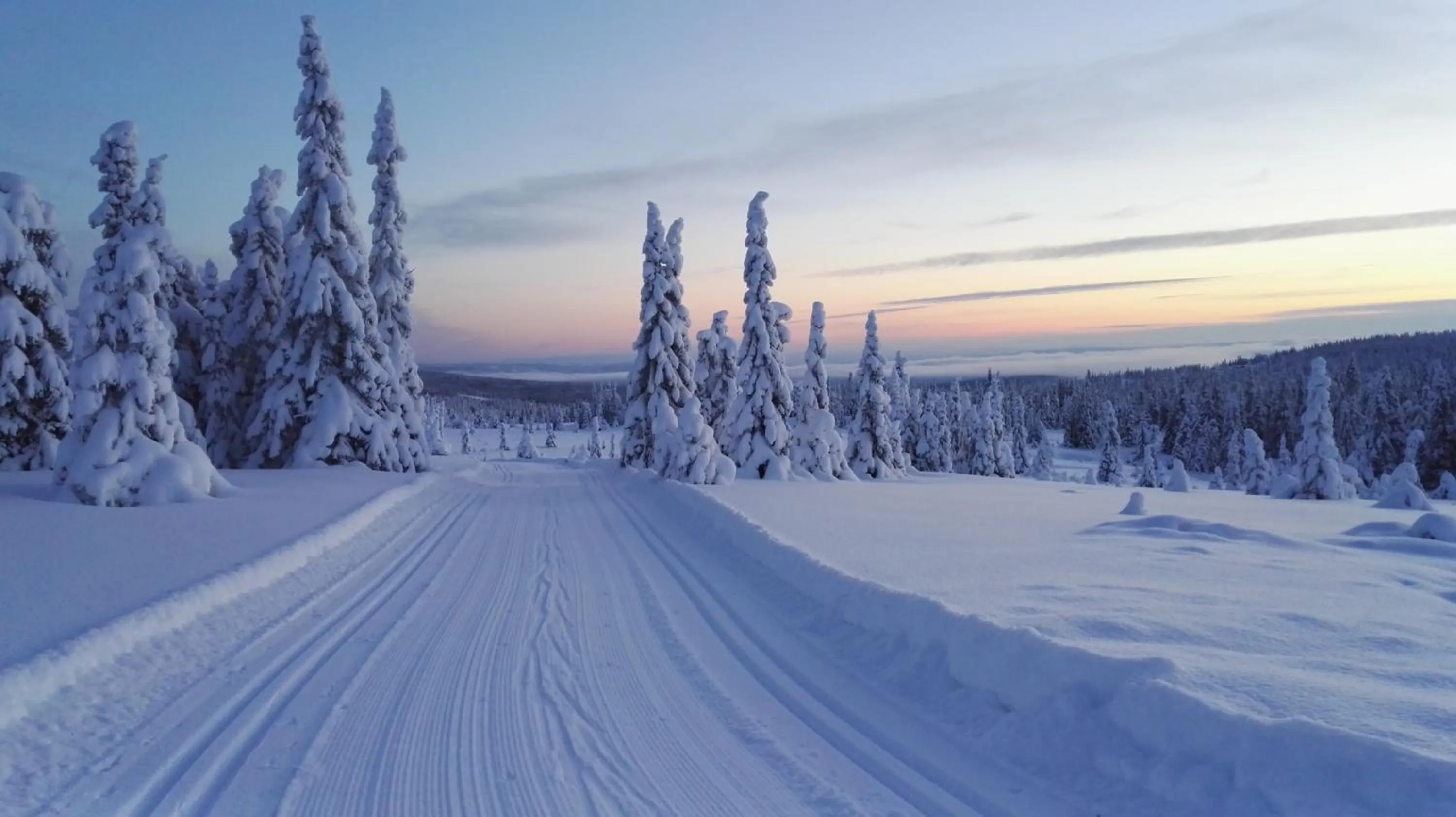 Natural landscape in Nordseter Hytter