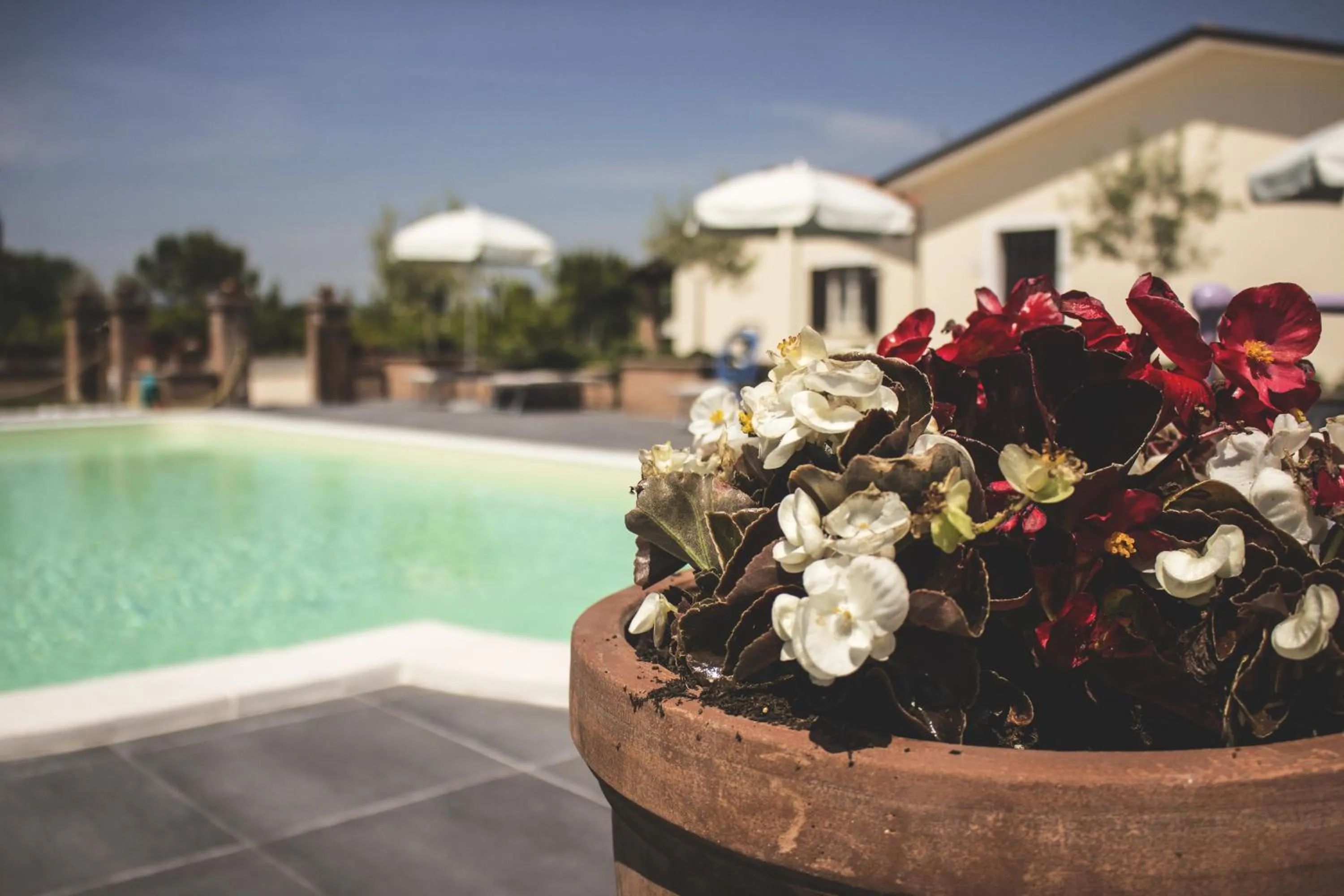 Decorative detail in Residence Terra Dei Santi Country House
