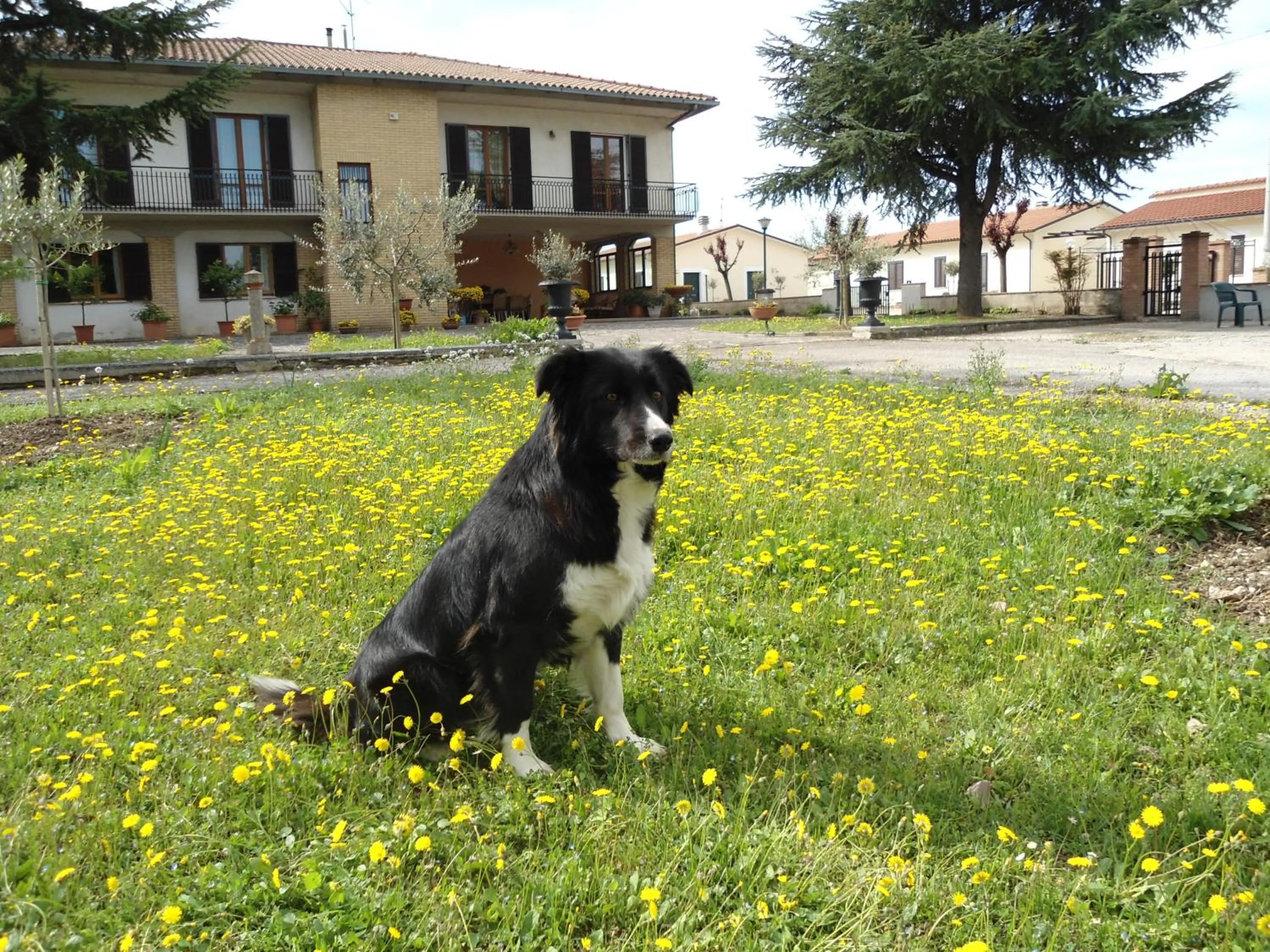 Garden in Residence Terra Dei Santi Country House