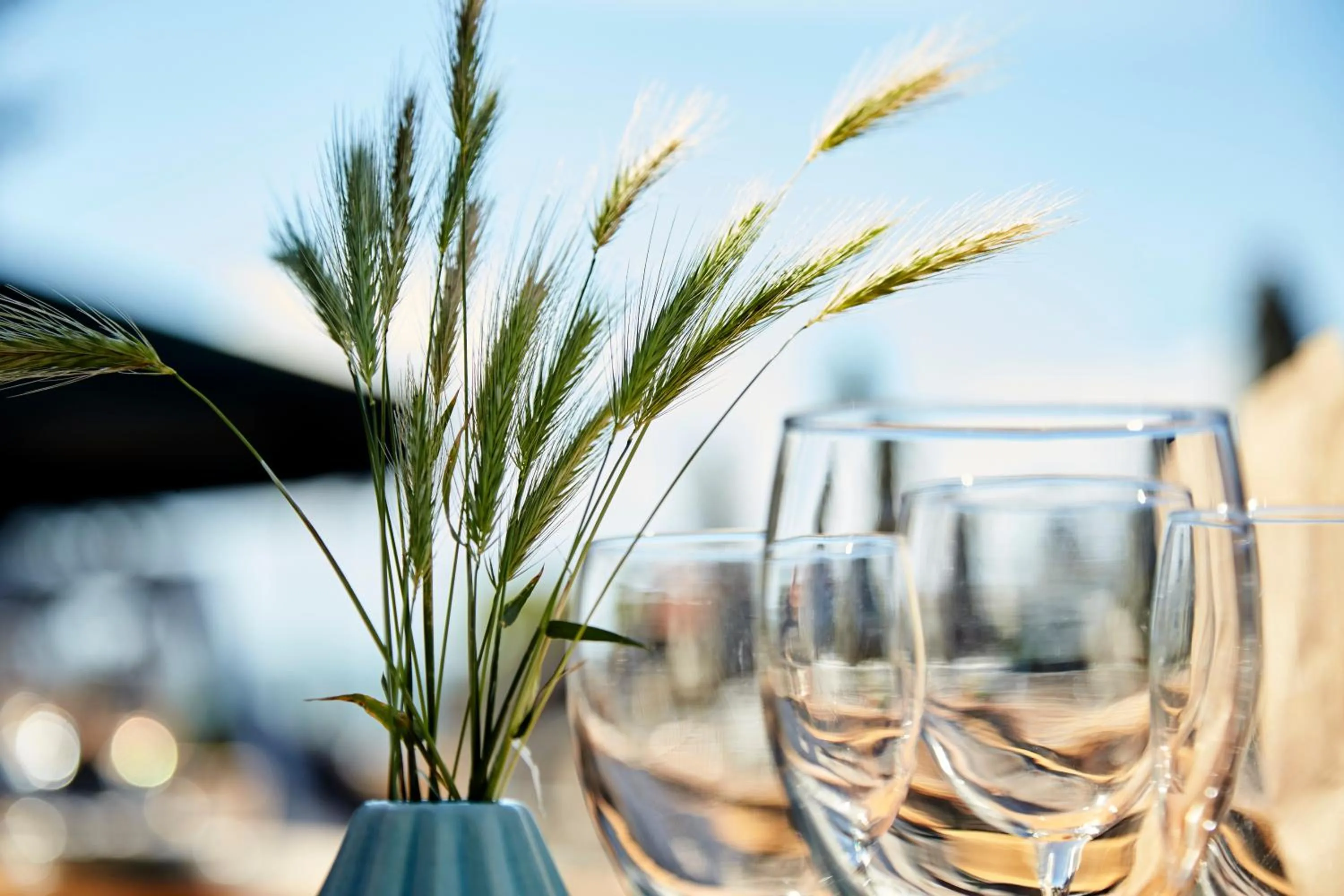 Drinks in Tisvildeleje Strandhotel