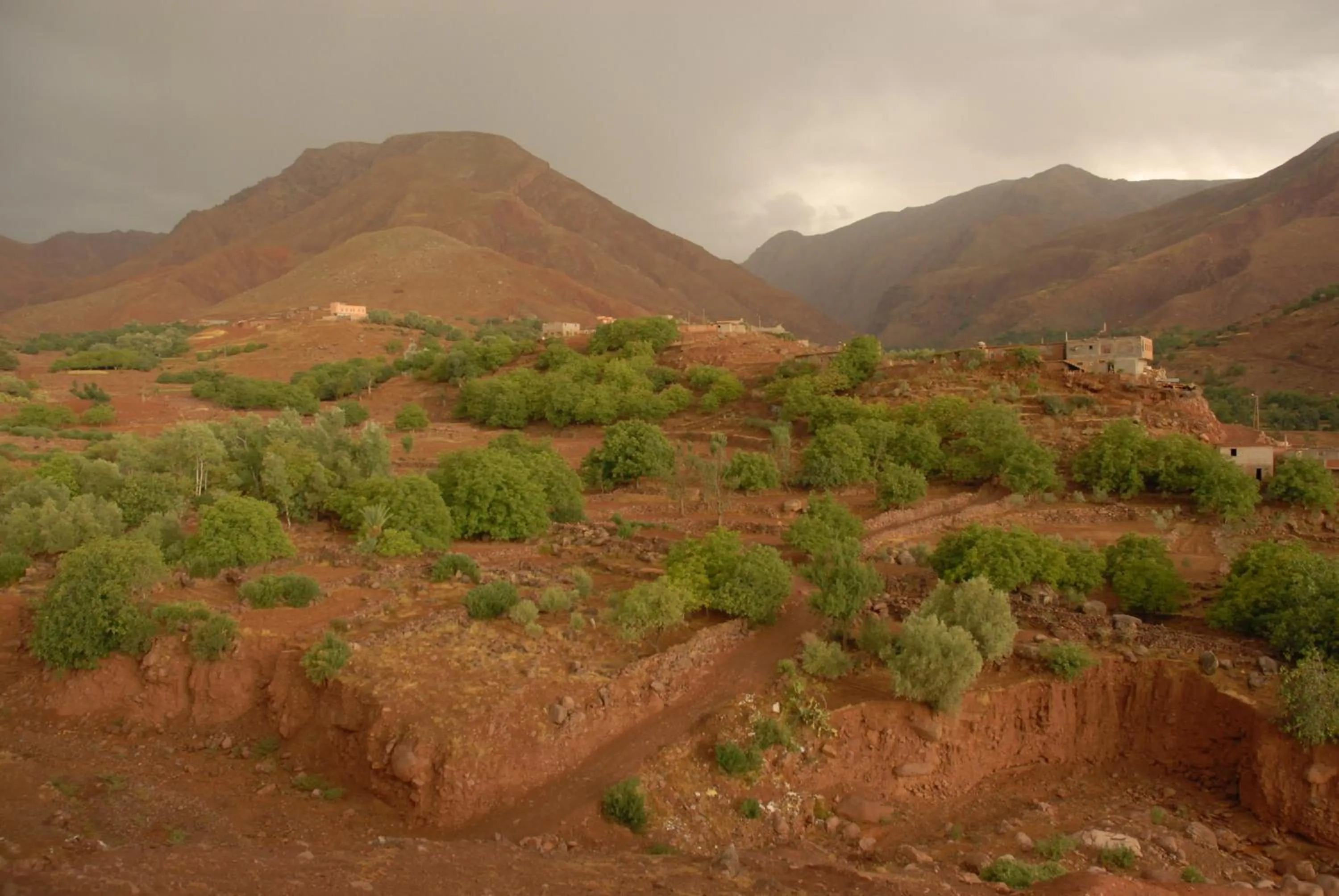 Other in Riad Lorsya