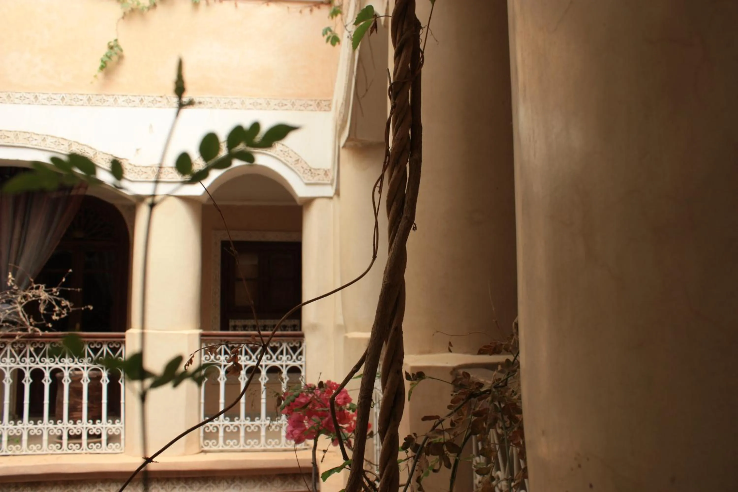 Patio in Riad Lorsya
