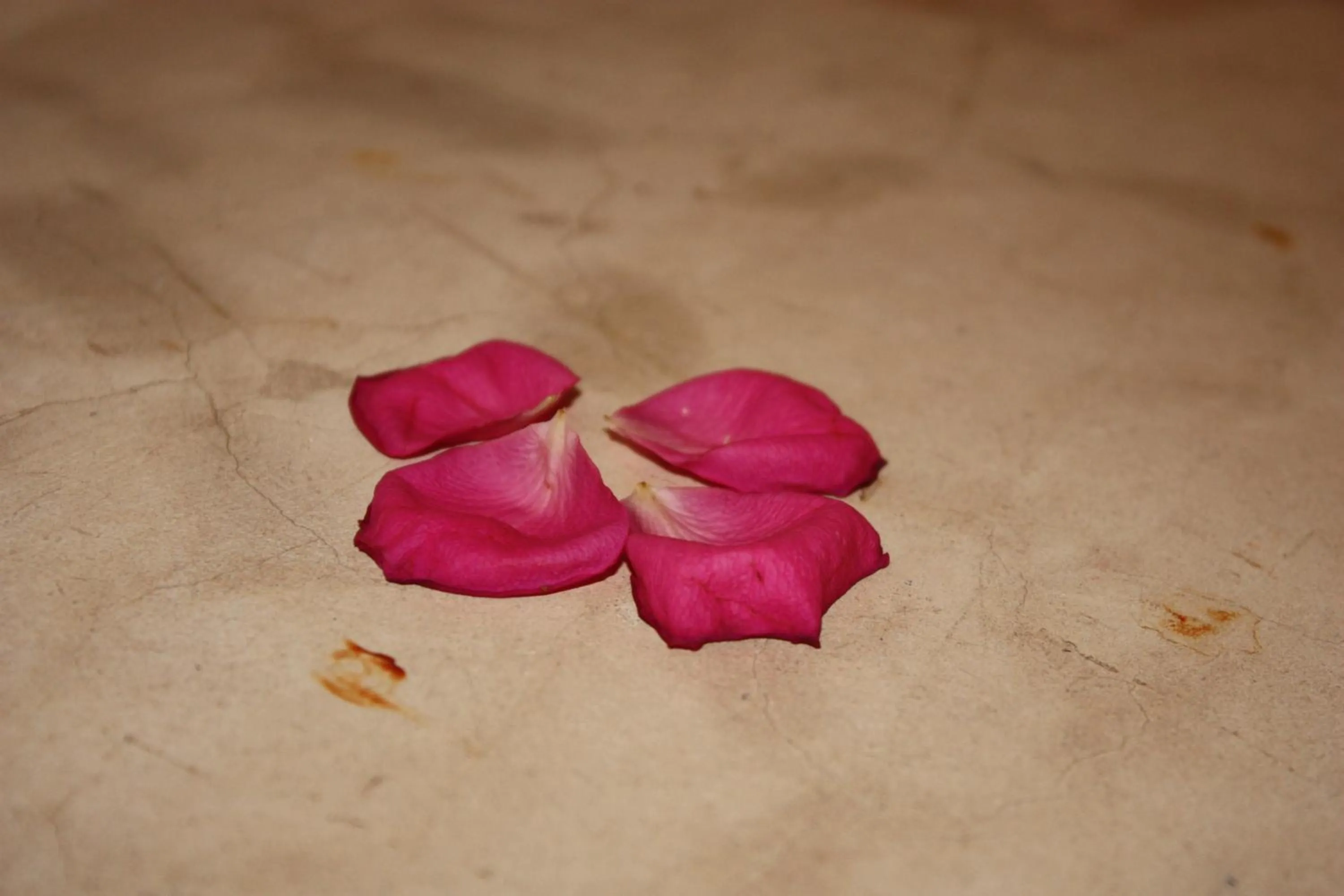Steam room in Riad Lorsya
