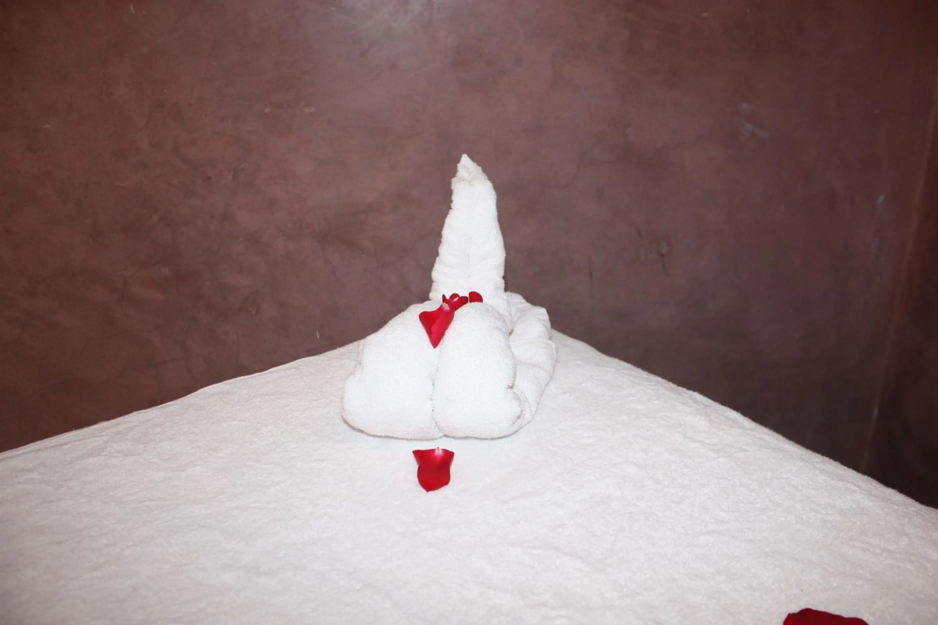 Activities, Bed in Riad Lorsya