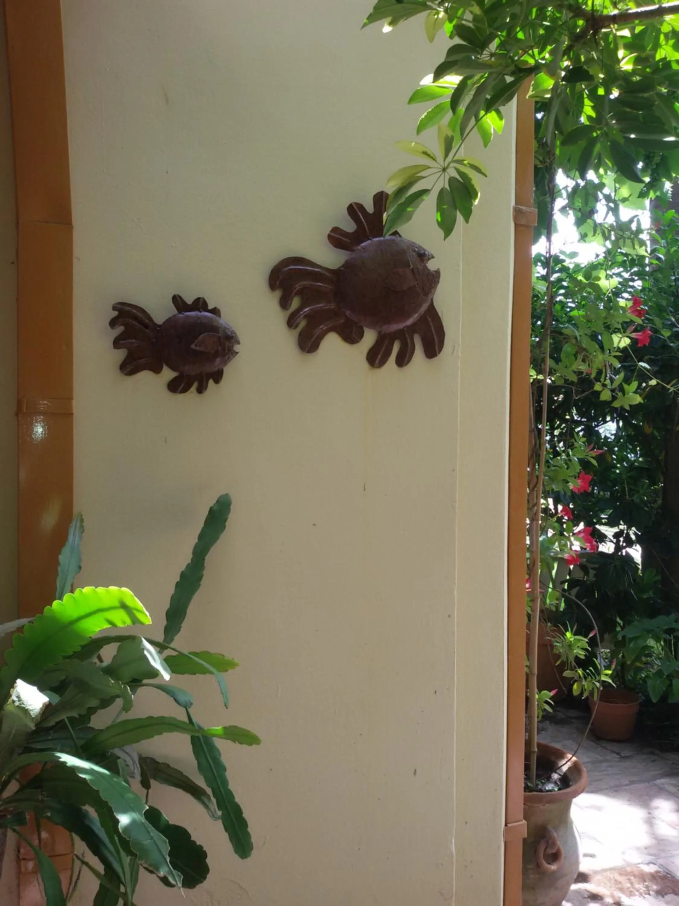 Patio in Hotel Riviera