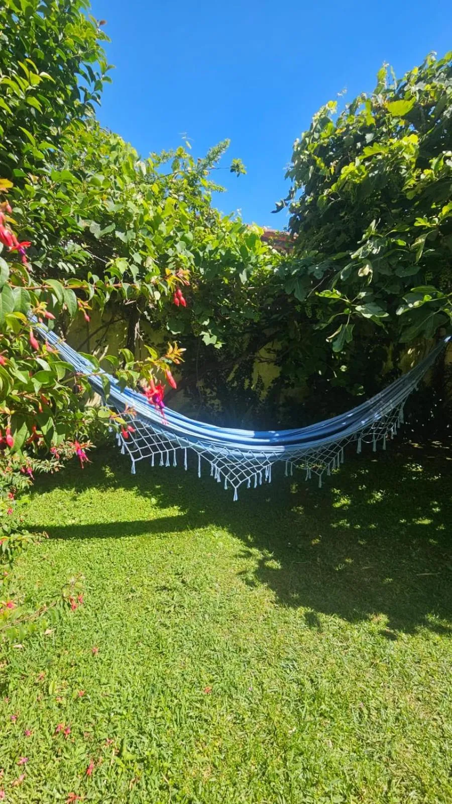 Patio in Hotel Riviera