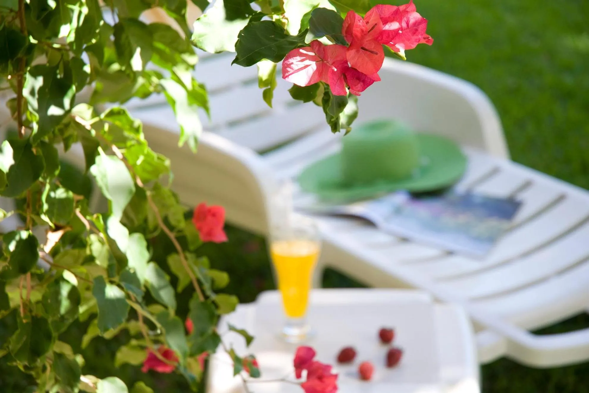 Patio in Hotel Riviera